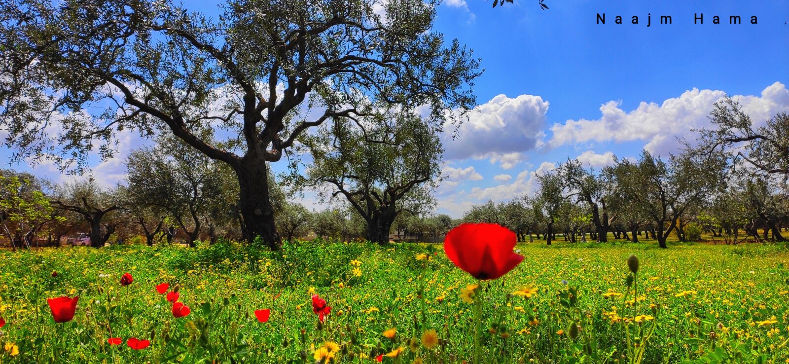 Xiaomi MI CC 9 sample photo. Syria, idlib, beautiful photography