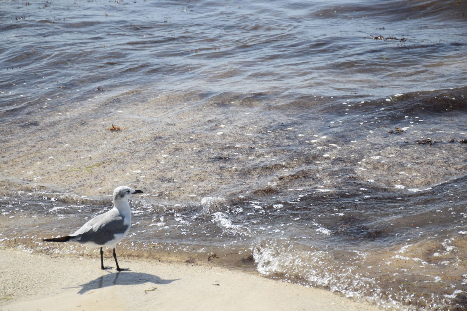 Nikon D5300 sample photo. Sol, boat, beach photography