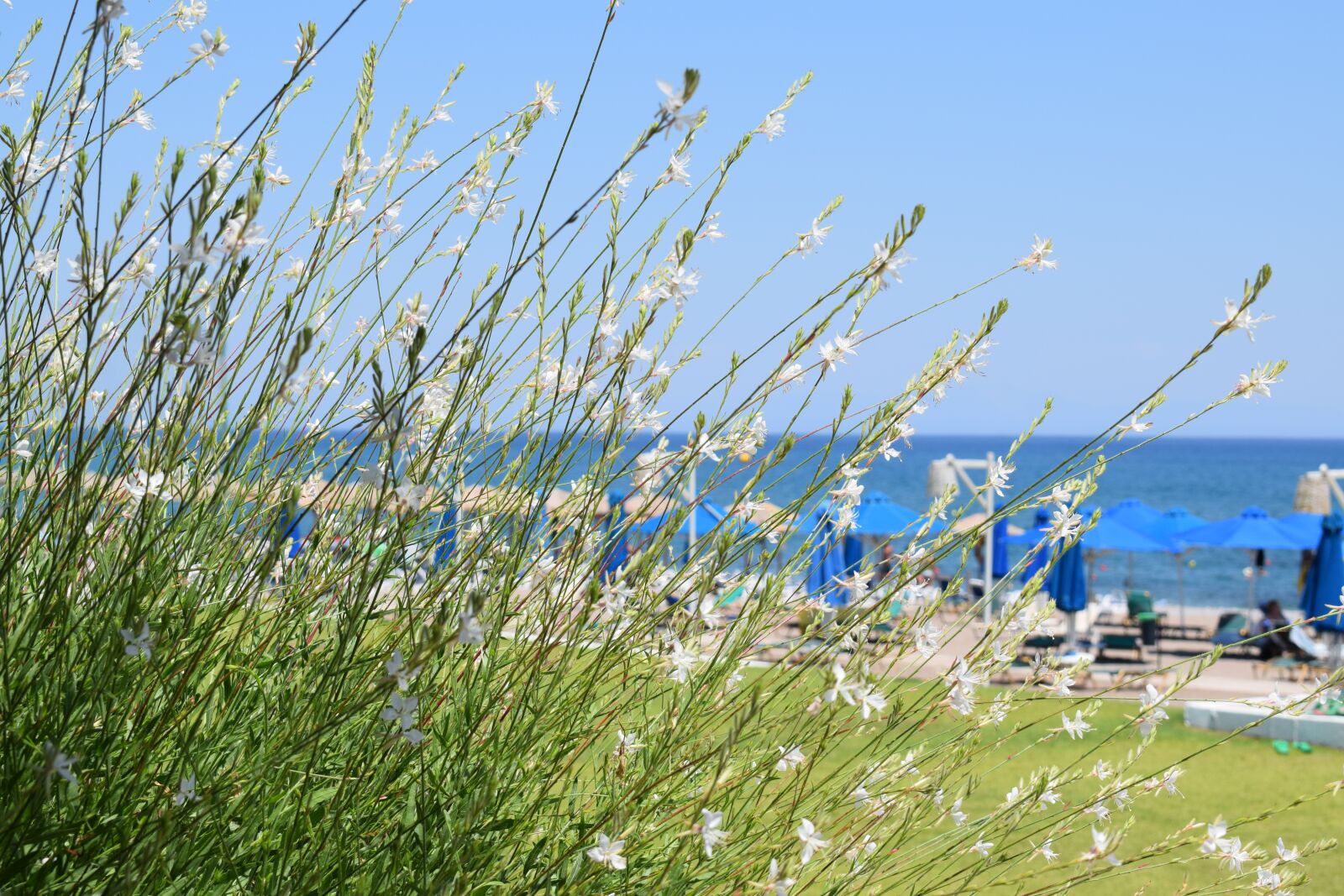 Nikon D3300 sample photo. Beach, sea, summer photography