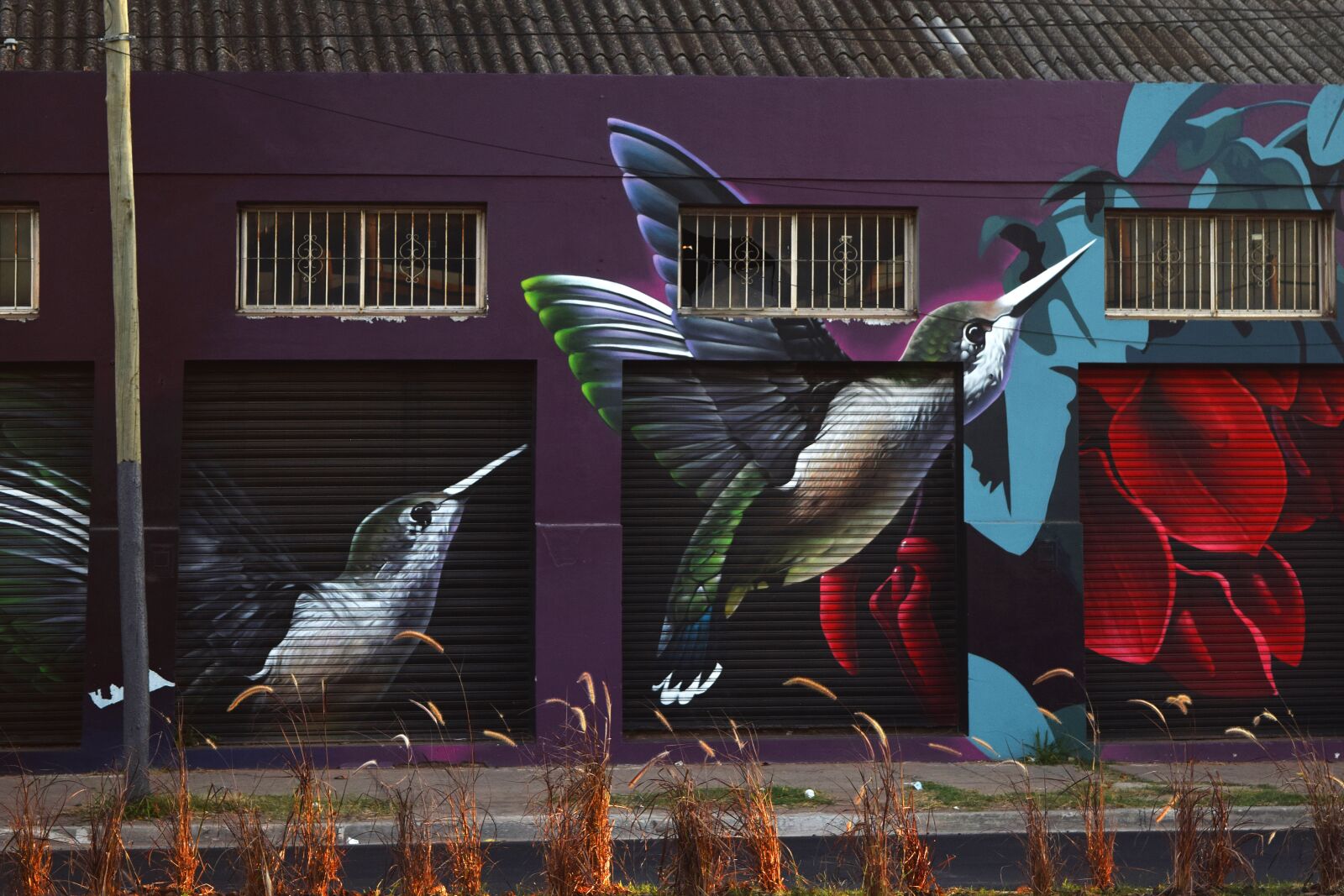 Nikon D3300 sample photo. Mural, graffiti, art photography