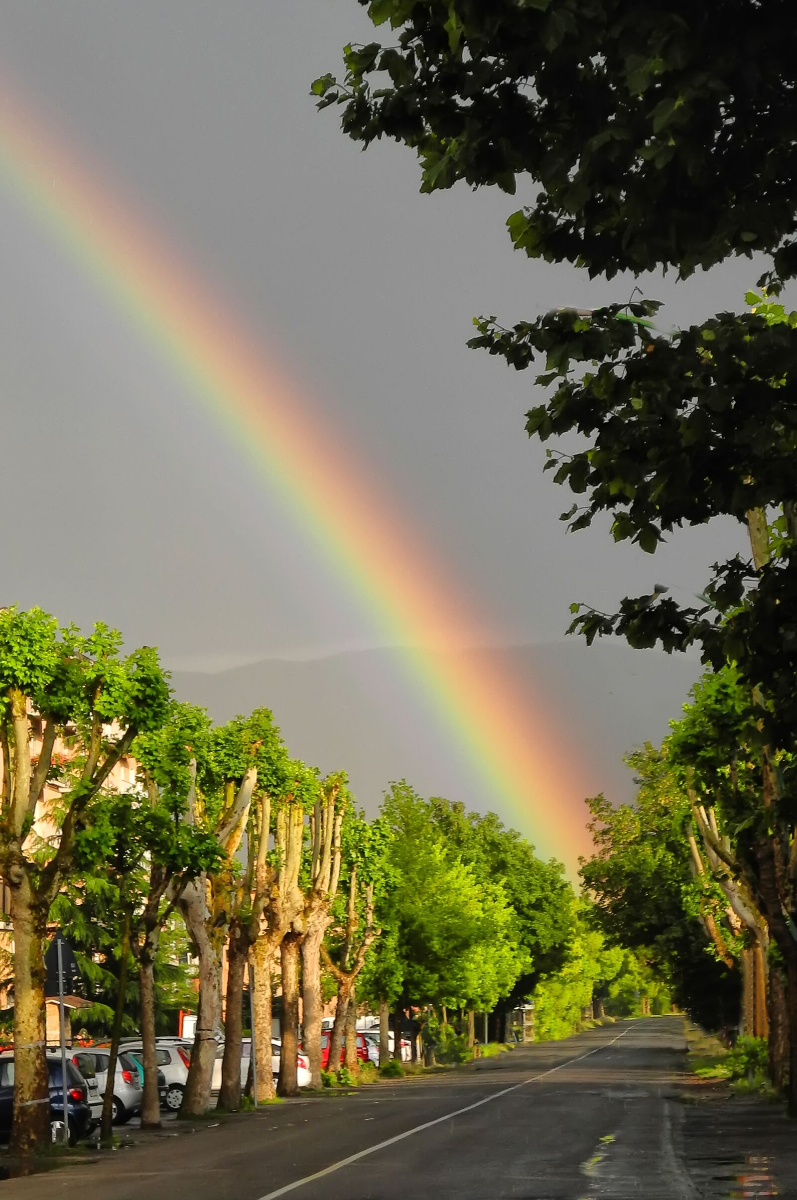 Nikon Coolpix P7100 sample photo. Rainbow, thunderstorm, sun photography