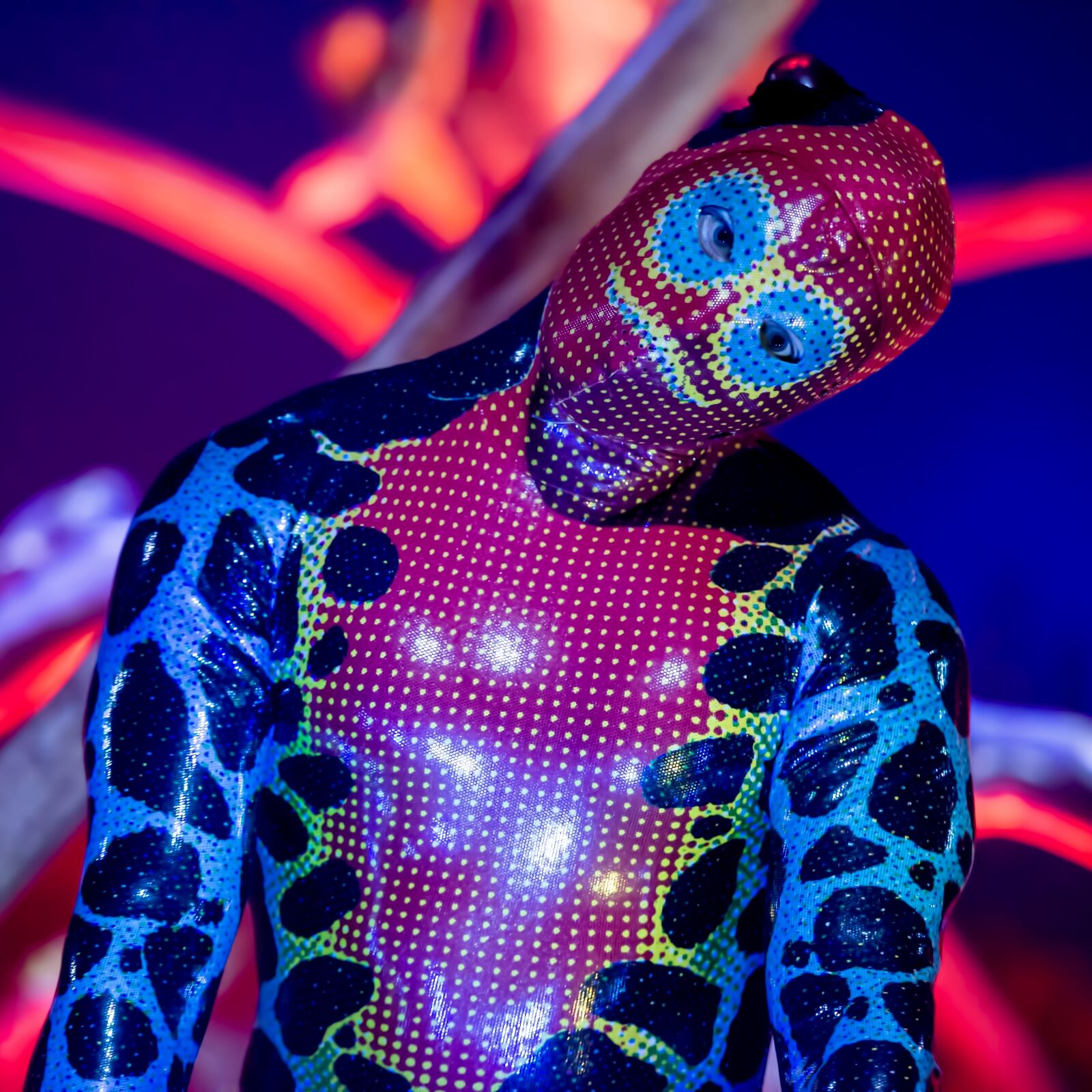 Nikon D800 sample photo. Circus, performer, acrobat photography