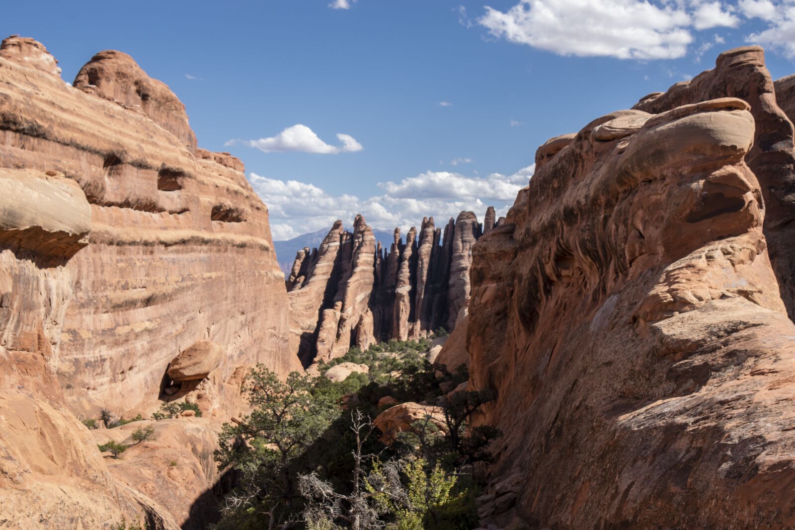 Nikon D3300 sample photo. National, park, arches photography