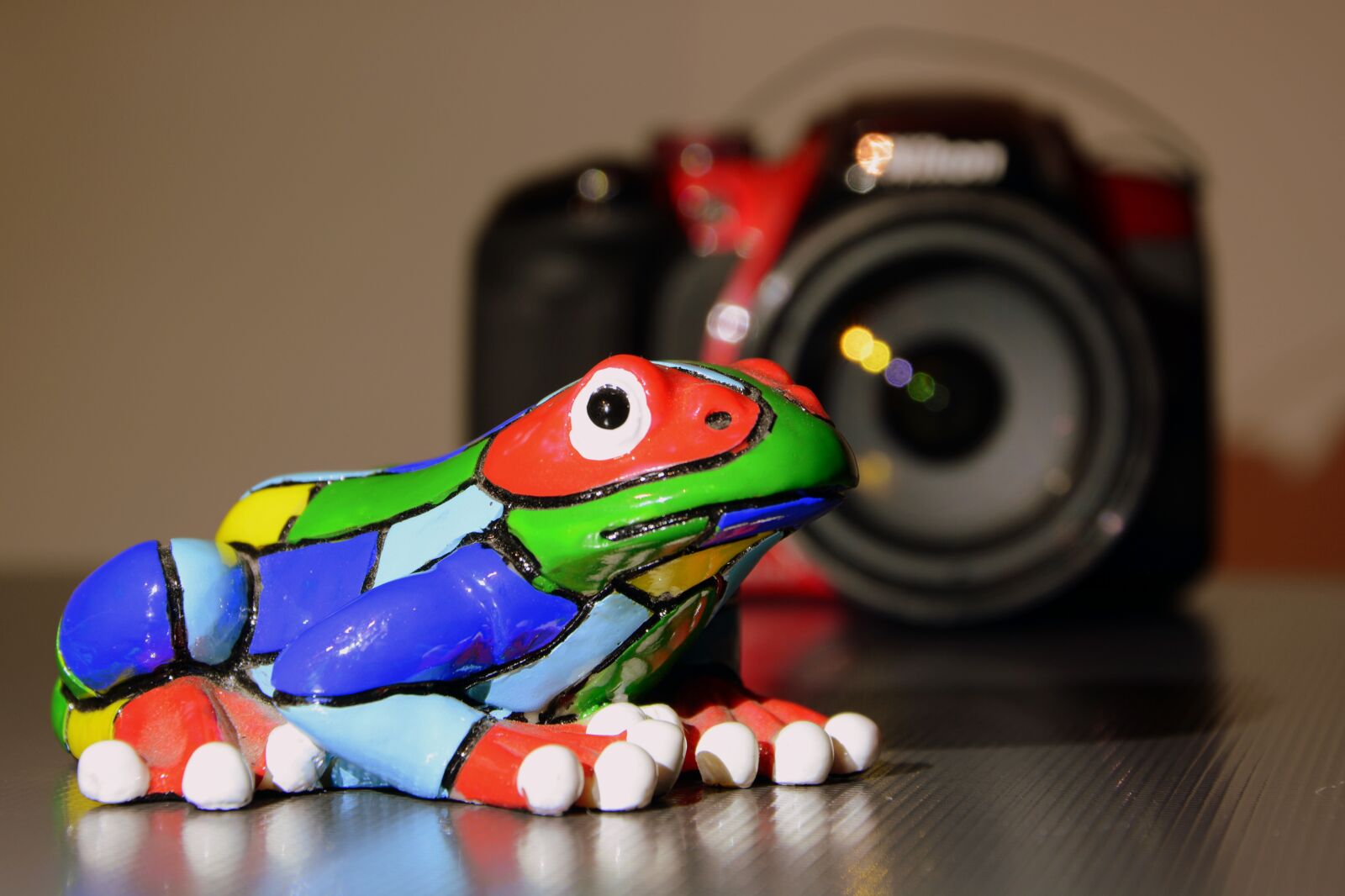 Nikon D7100 sample photo. Rana, camera, laying photography