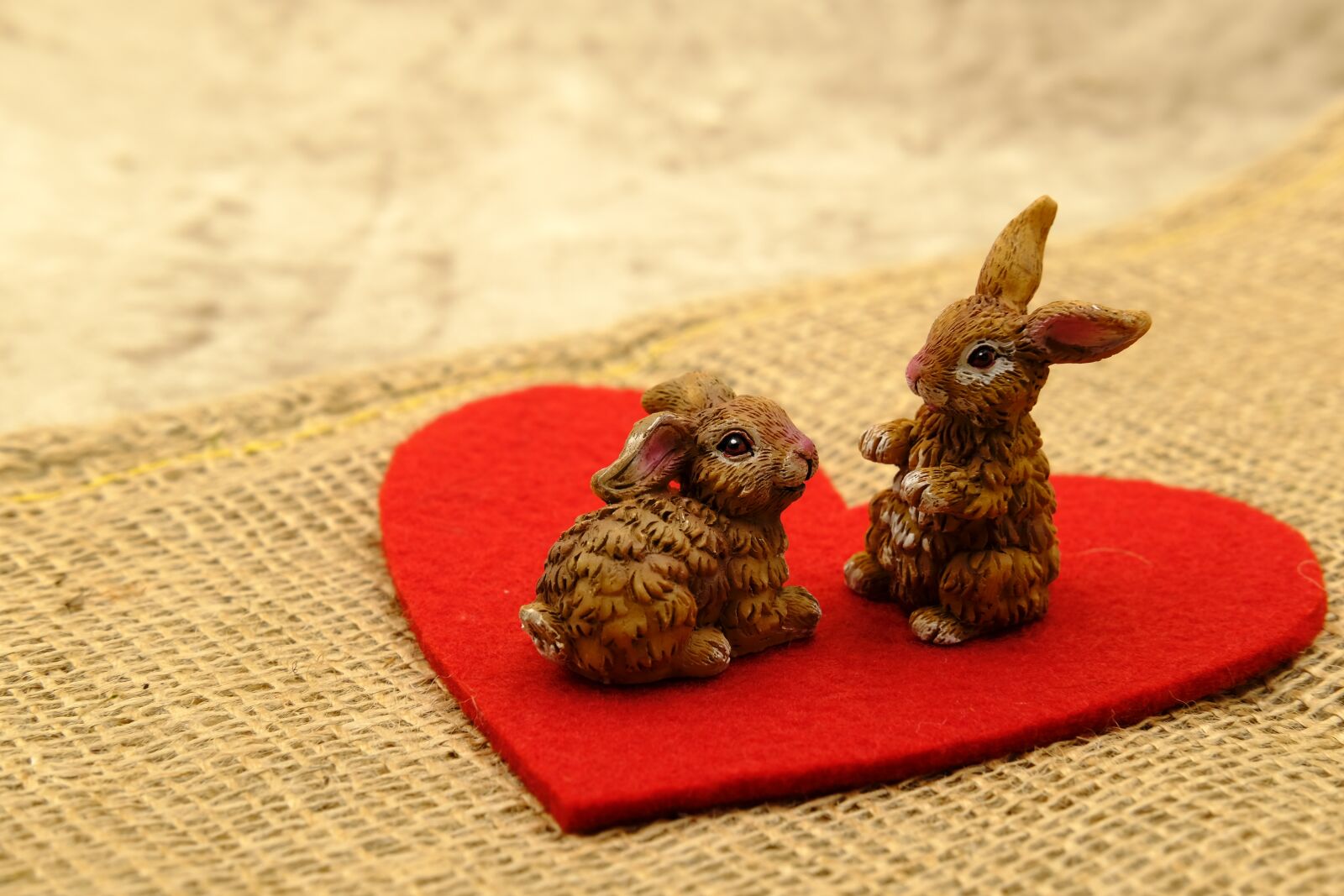 Fujifilm X-T2 + Fujifilm XF 35mm F2 R WR sample photo. Easter, easter bunny, easter photography