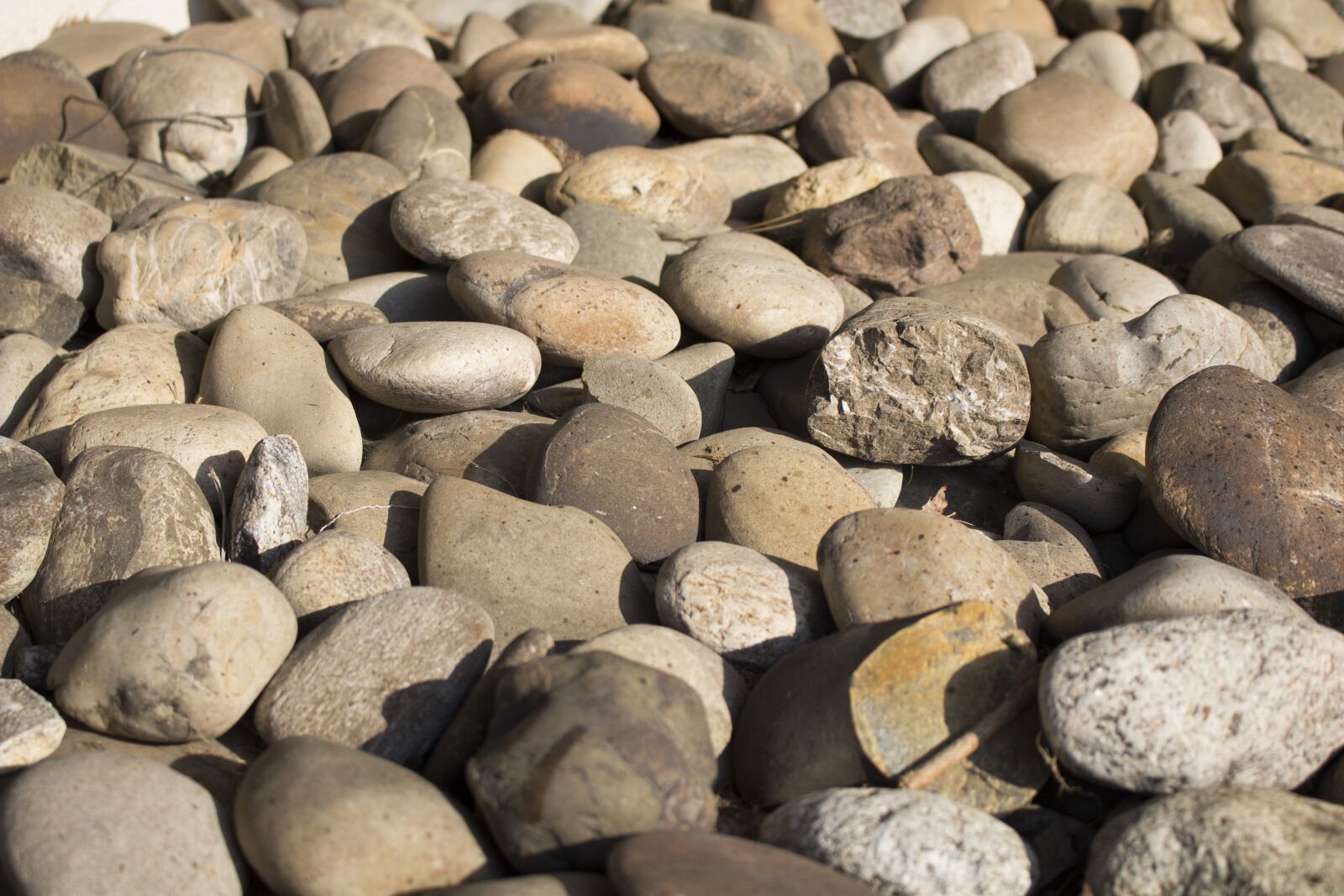 Canon EOS 650D (EOS Rebel T4i / EOS Kiss X6i) + Canon EF-S 18-55mm F3.5-5.6 IS STM sample photo. Pebles, stones, background photography