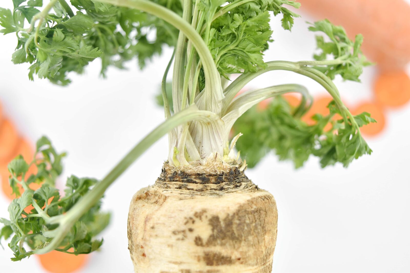 Nikon D5500 sample photo. Vegetable, parsley, leaf, food photography