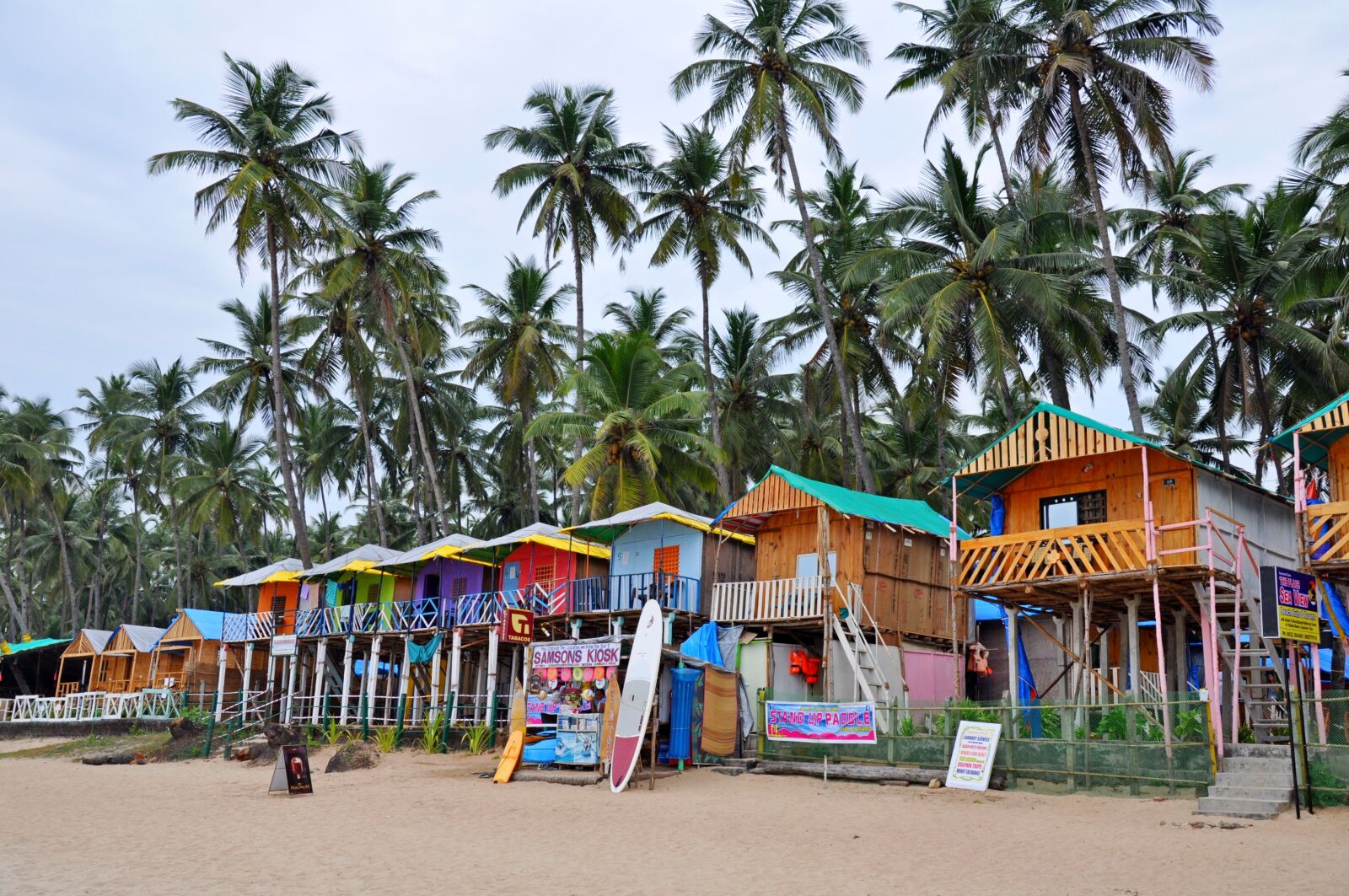 Nikon D5000 sample photo. India, nature, goa photography