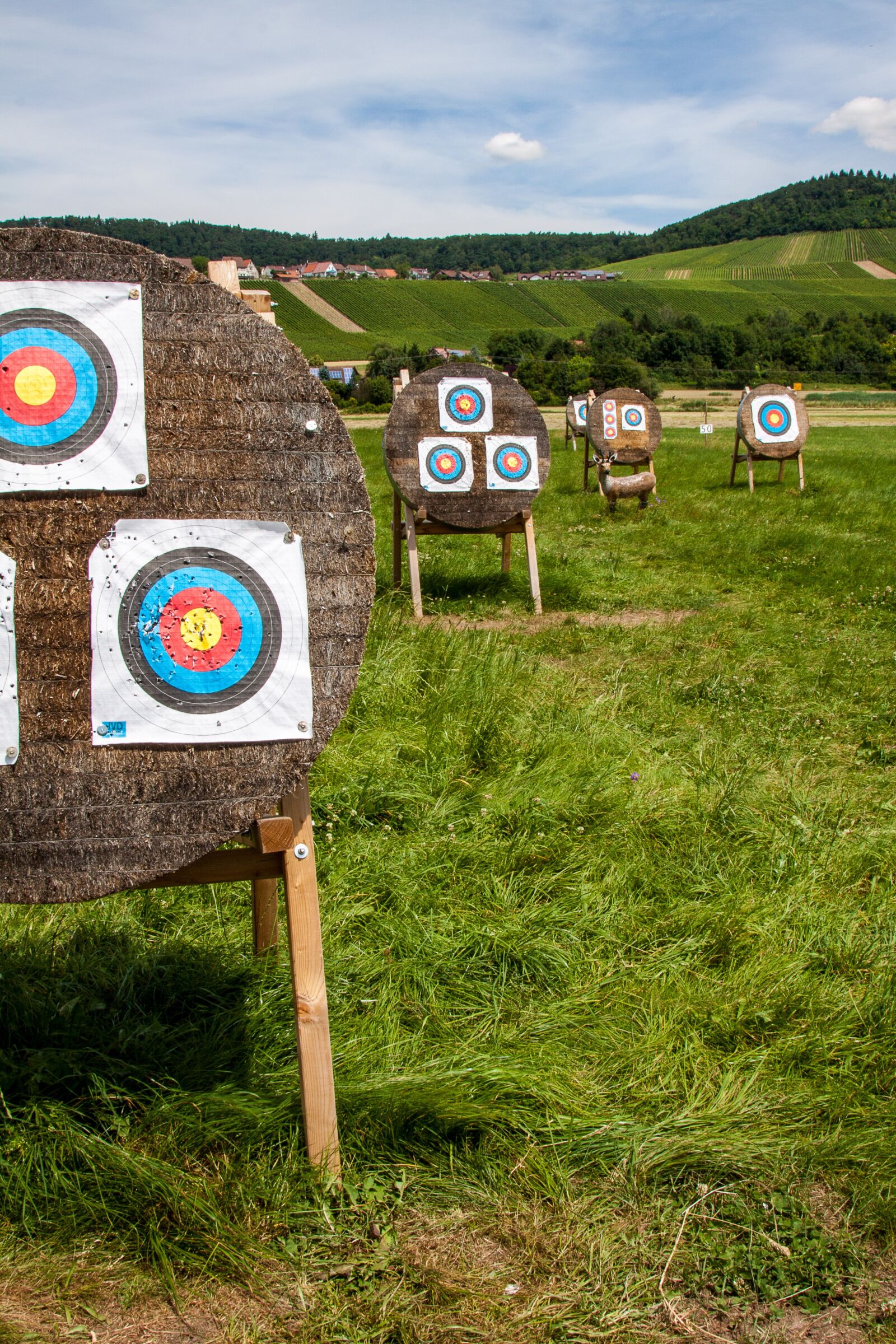 Canon EOS 50D + Canon EF 24-105mm F4L IS USM sample photo. Target, objectives, archery photography