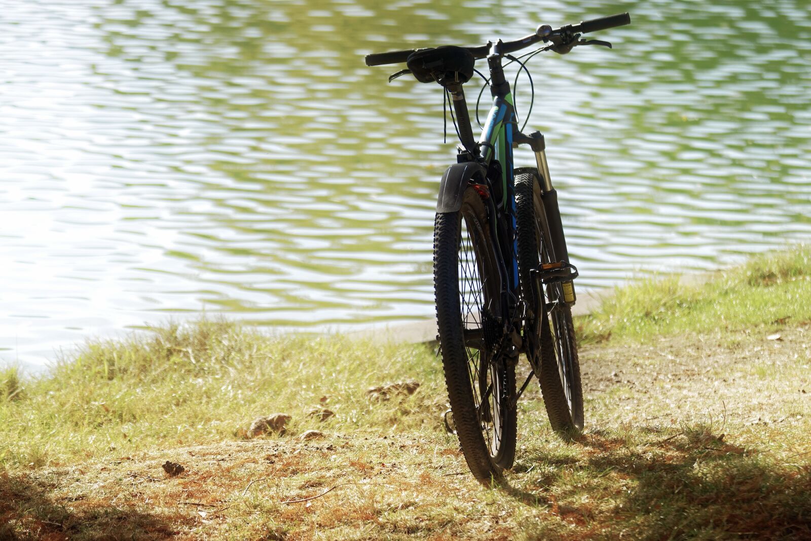 Nikon D5300 sample photo. Bike, parked, the bank photography