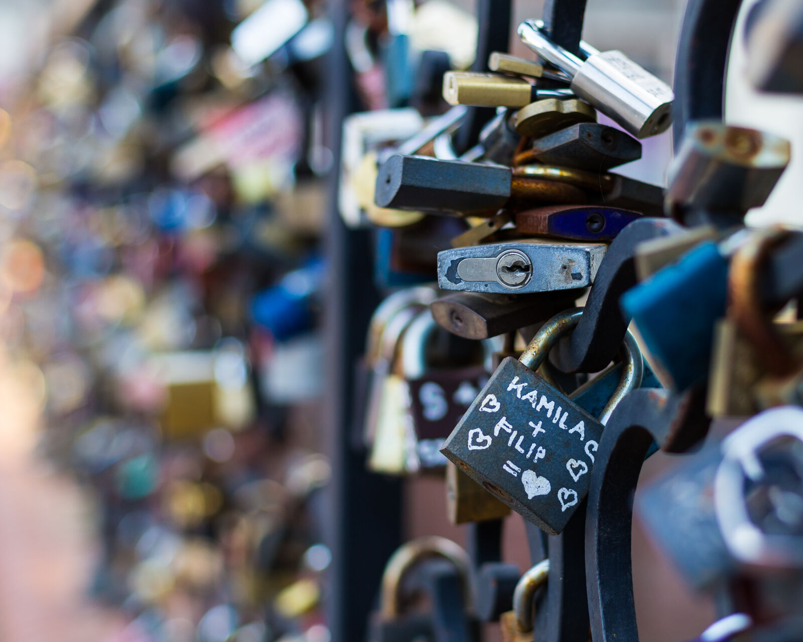 Canon EOS 6D + Canon EF 50mm F1.4 USM sample photo. Blurred, background, brass, locks photography