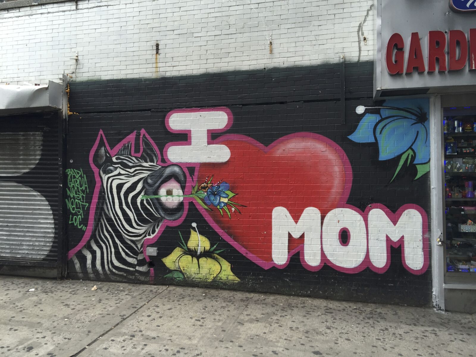 iPhone 6 Plus back camera 4.15mm f/2.2 sample photo. Mom, mothersday, love photography