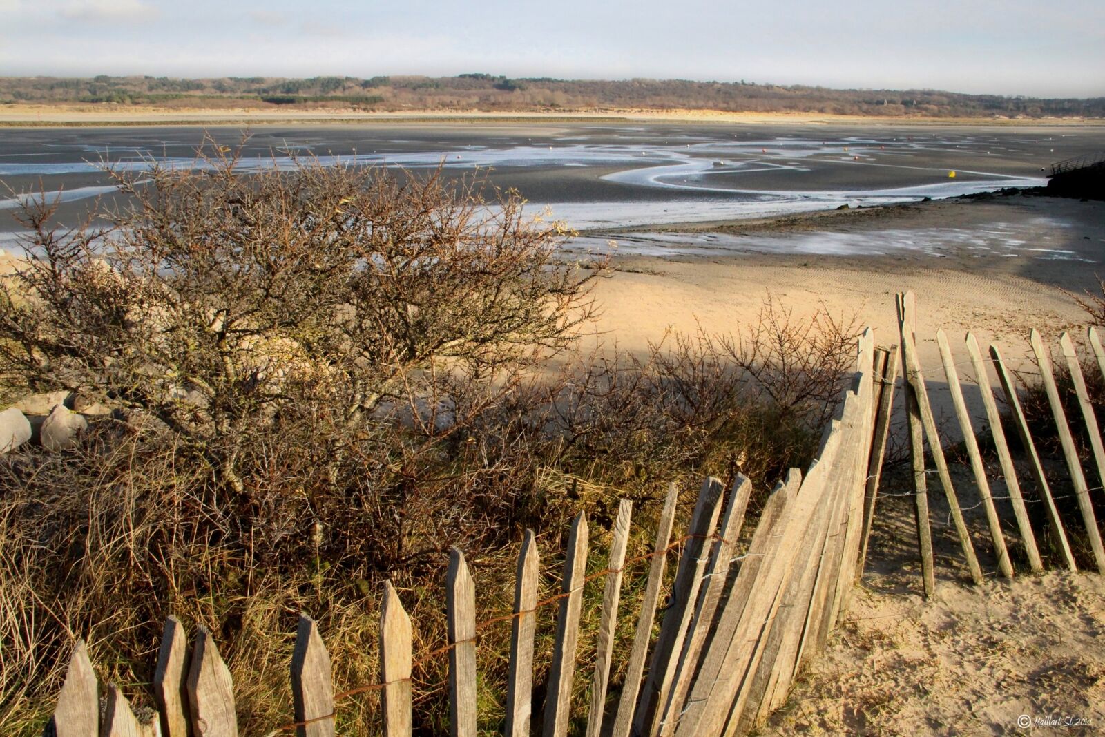 Canon EOS 700D (EOS Rebel T5i / EOS Kiss X7i) sample photo. Bay, canche, landscape photography