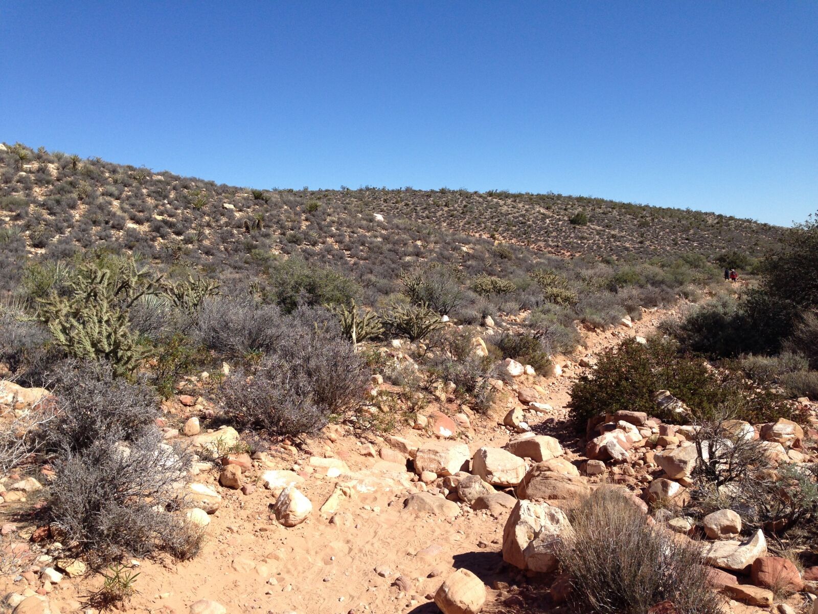 Apple iPhone 5 sample photo. Red rock, desert, land photography