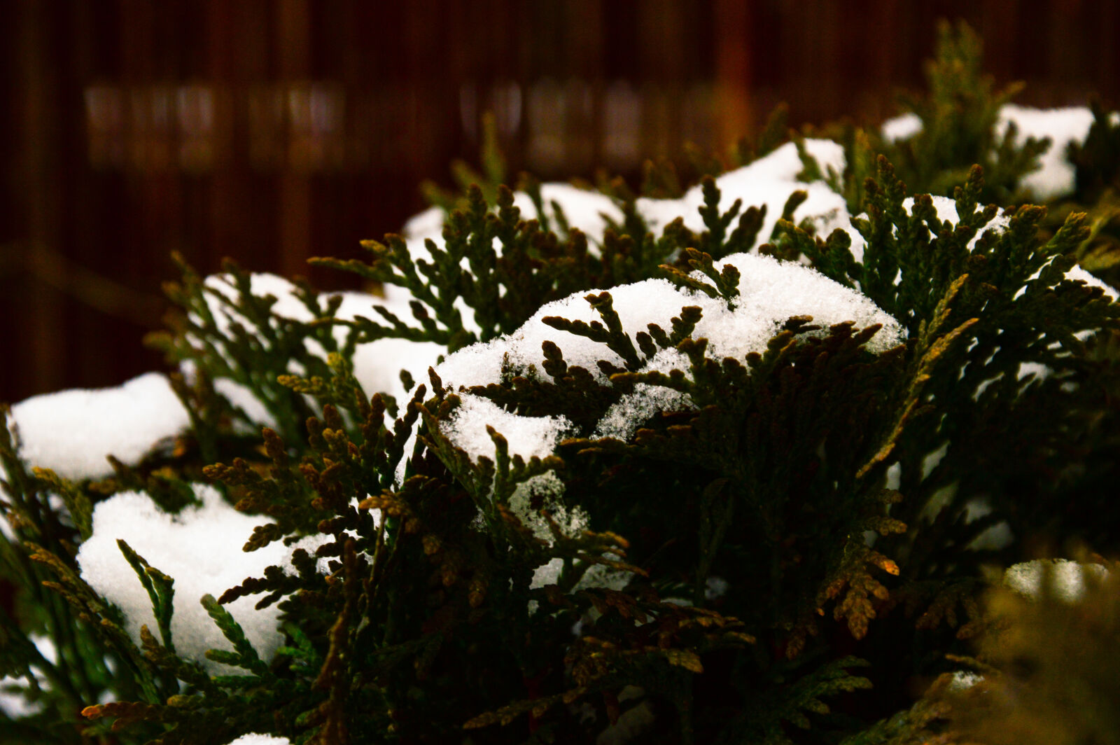 Nikon D3200 sample photo