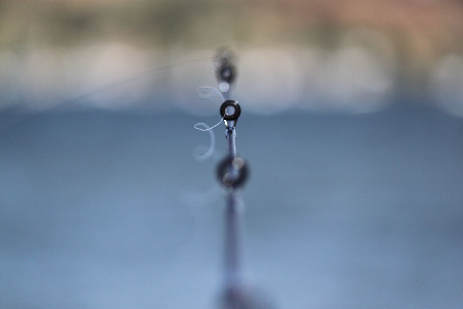 Canon EOS 500D (EOS Rebel T1i / EOS Kiss X3) sample photo. Fishing rod, fishing line photography