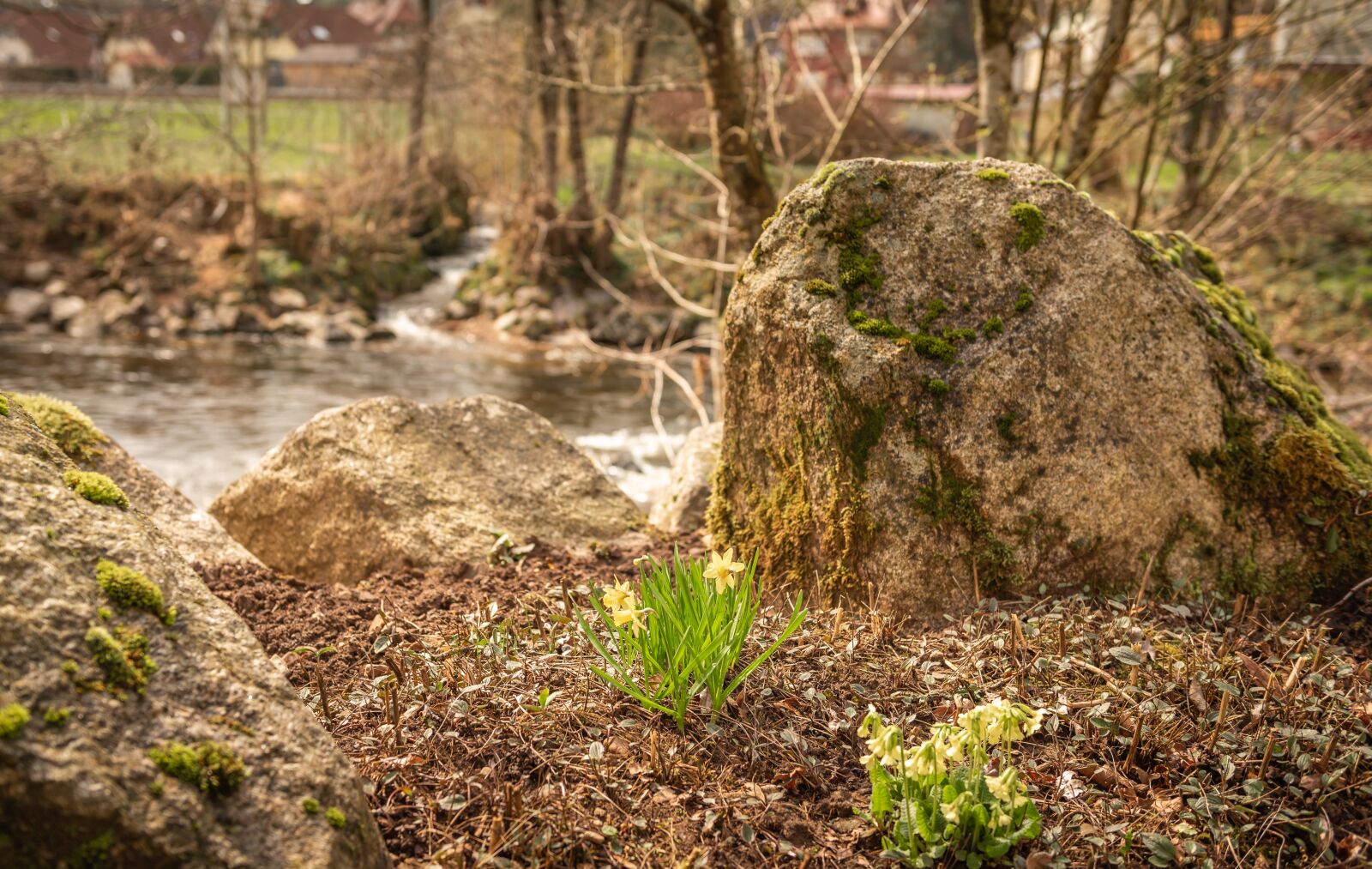 Nikon D750 sample photo. Fr hlingsbl her, stones photography