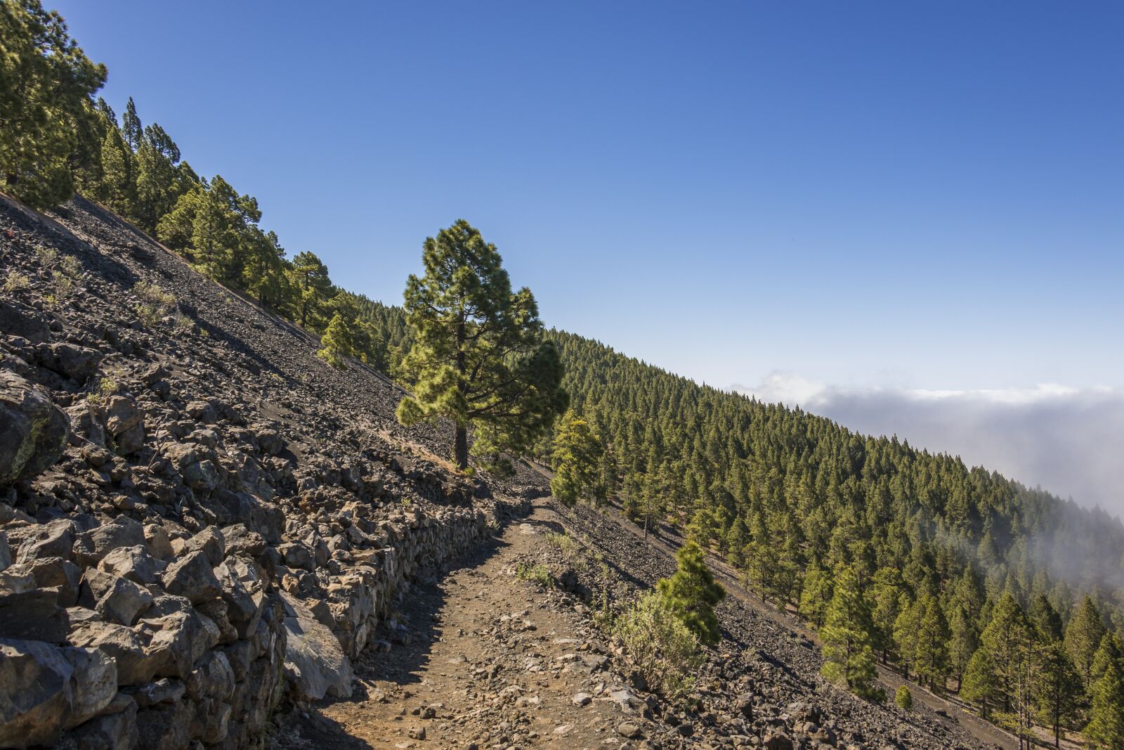 Canon EOS 70D sample photo. Volcano, canary islands, volcanic photography