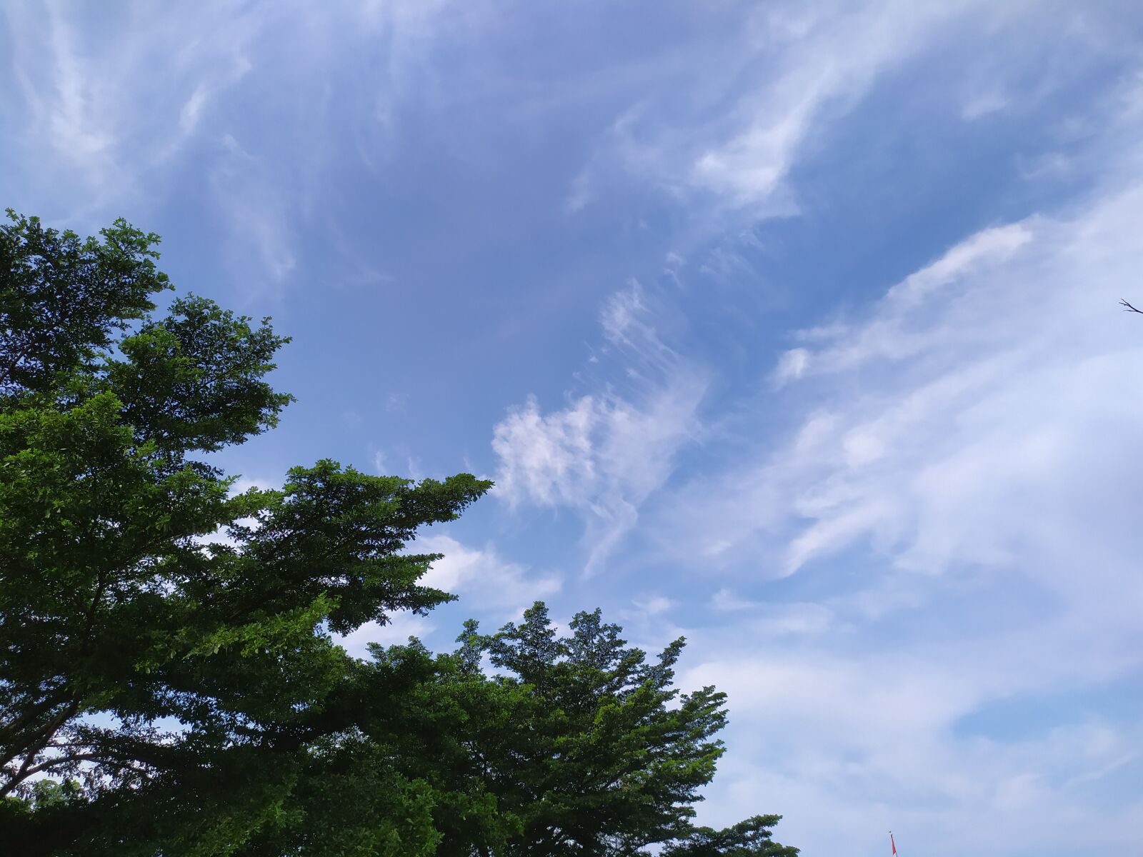Xiaomi Redmi Note 7 sample photo. Sky, weather, nature photography