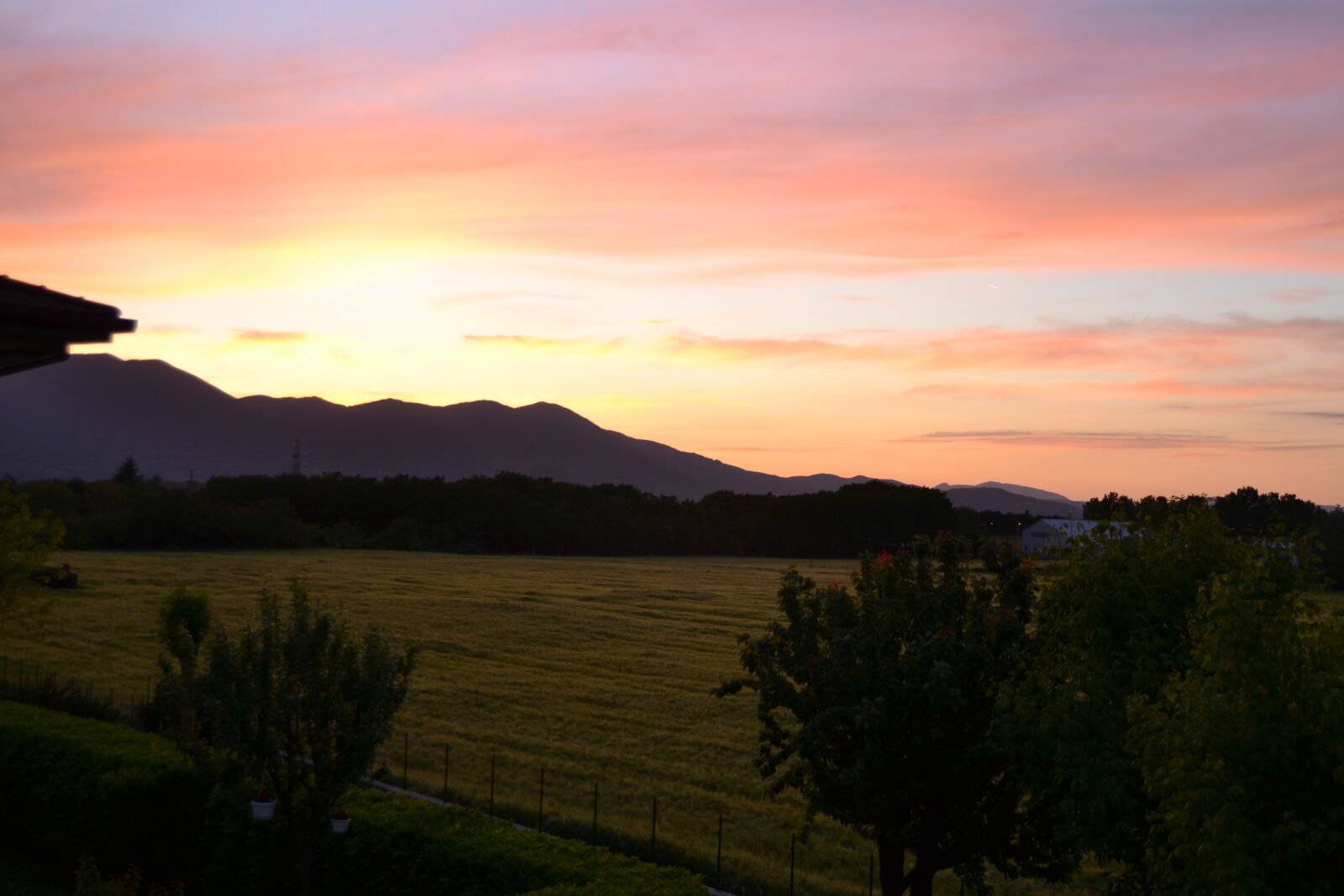 Nikon D3100 sample photo. Sunset, sun, light photography