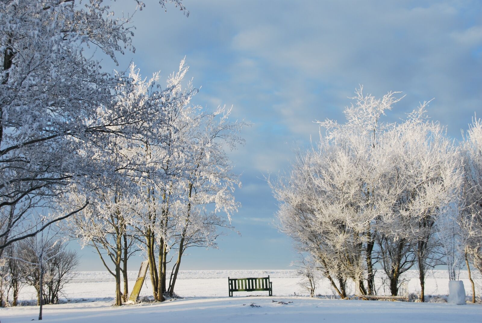 Nikon D60 sample photo. Winter, snow, wintry photography
