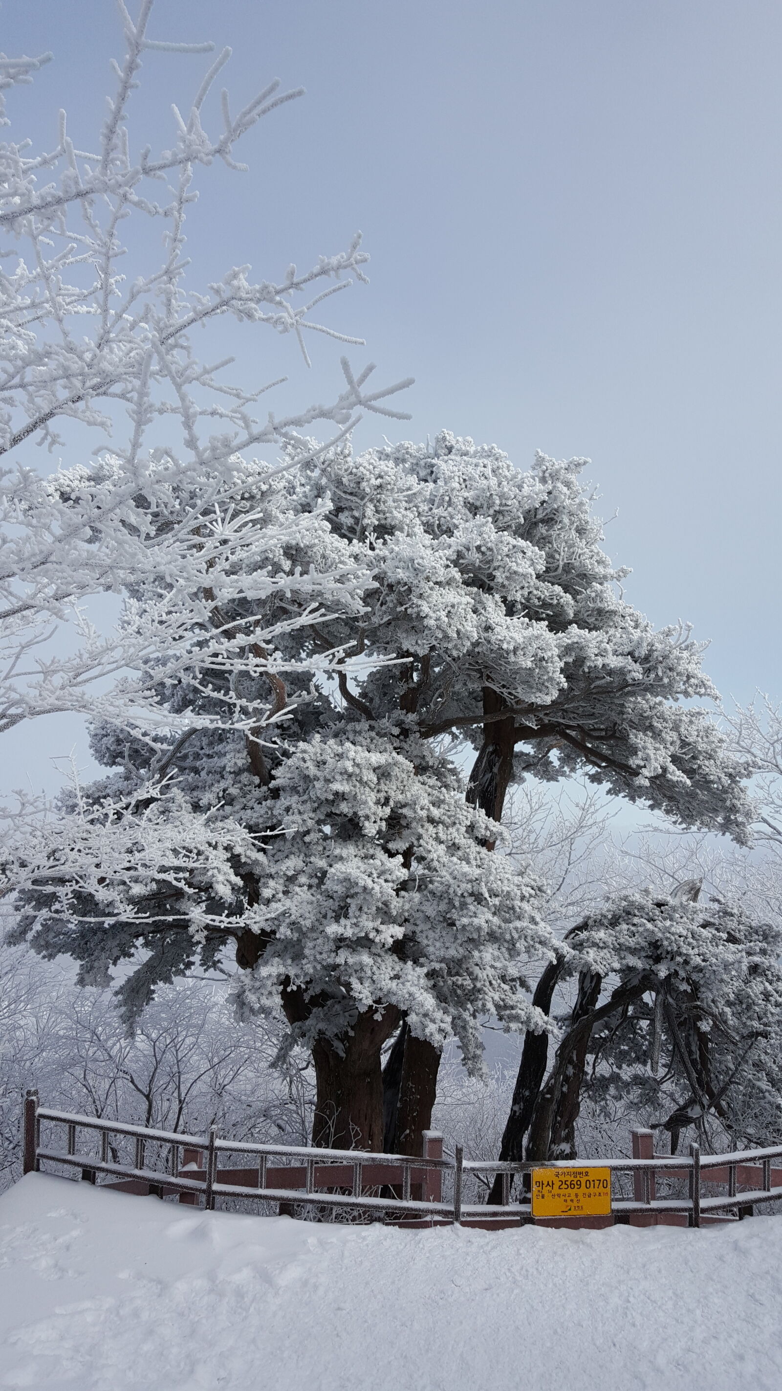 Samsung Galaxy Note5 sample photo. Korea, mountain, taebaeksan, winter photography