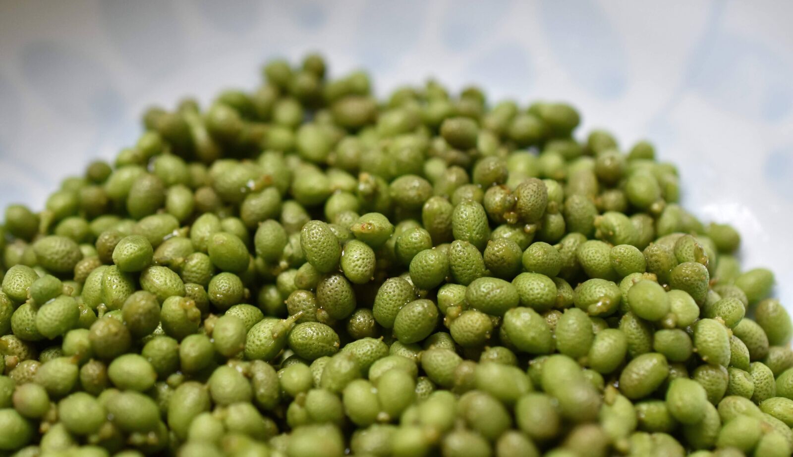 Nikon D3500 sample photo. Pepper, green, spice photography