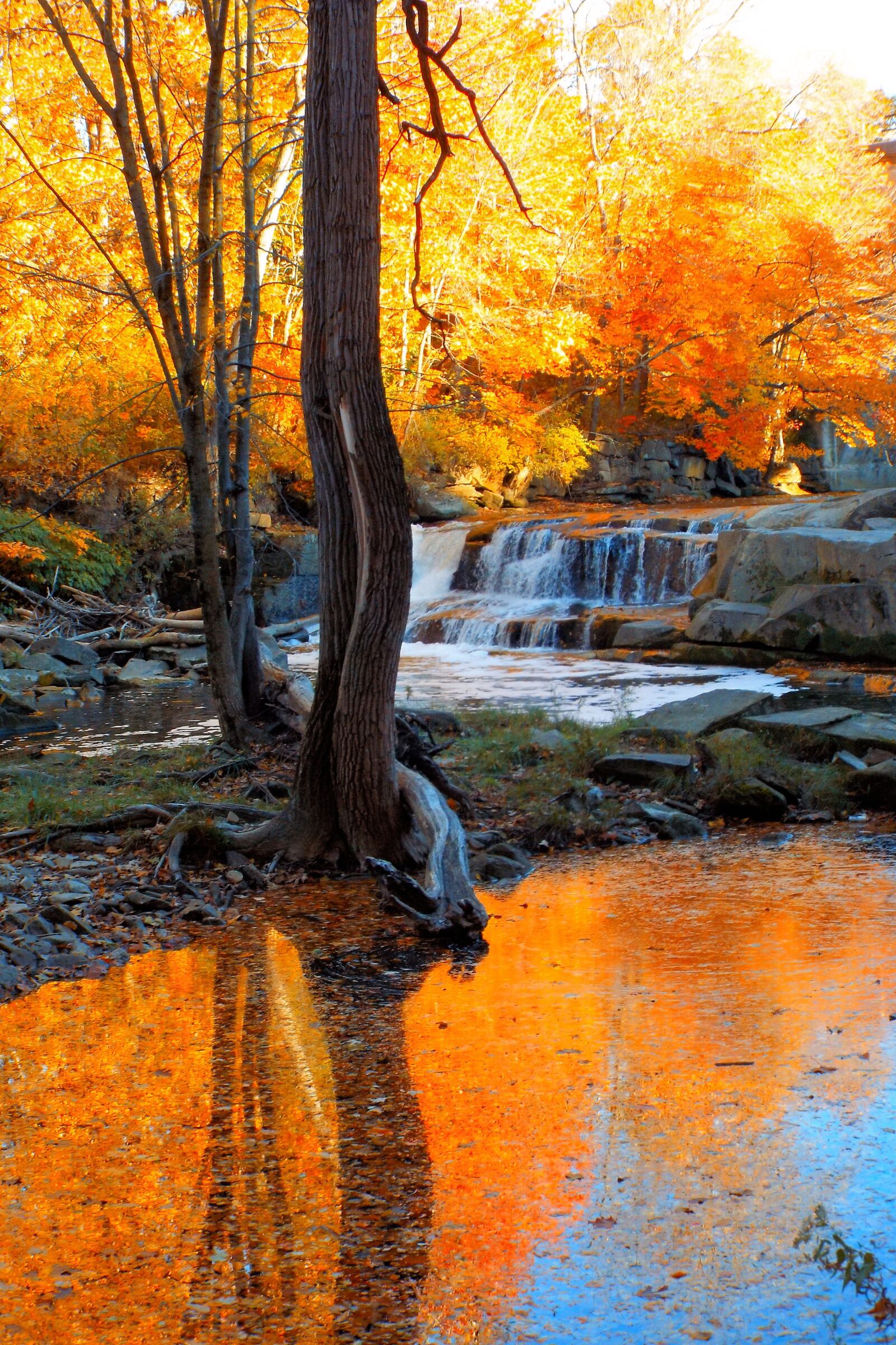 Fujifilm FinePix S9400W sample photo. Waterfall, fall, trees photography