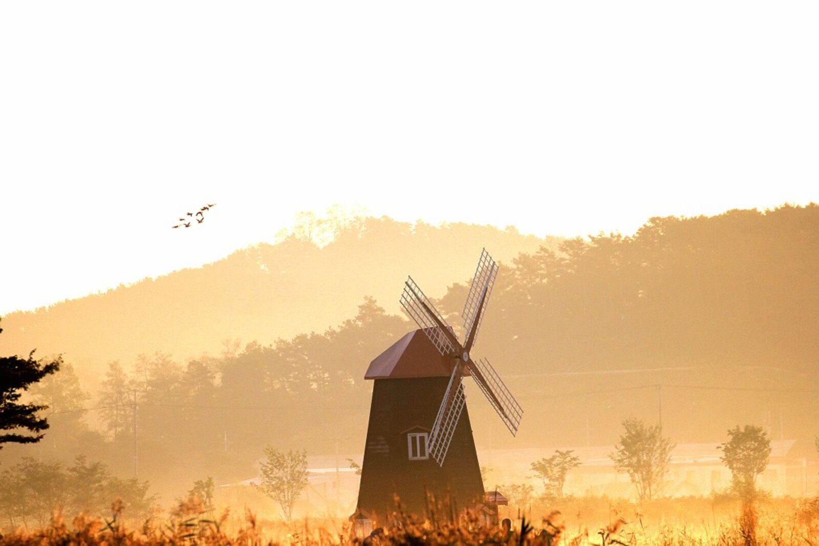 Canon EOS 60D sample photo. Windmill, fog, new photography