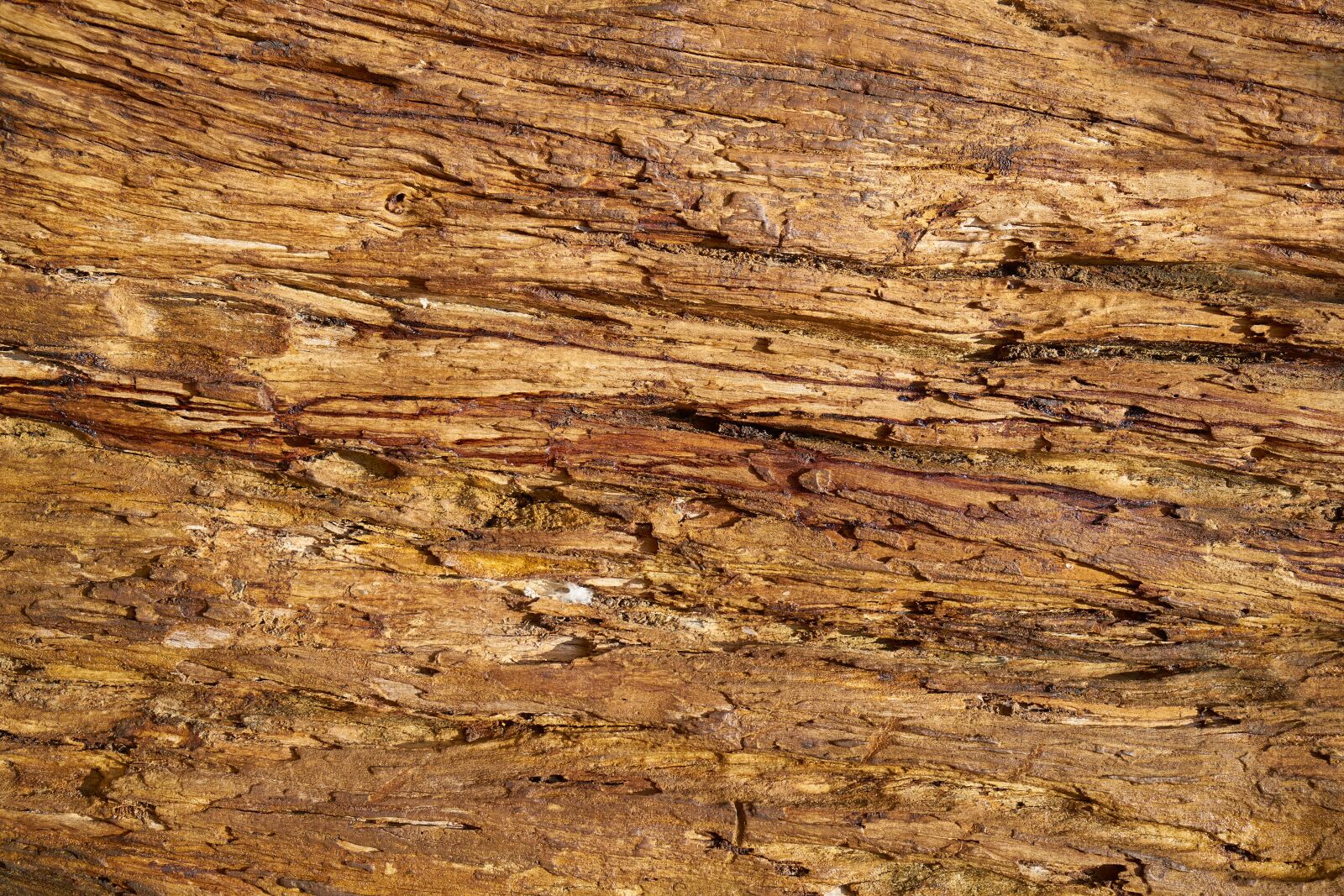 Sony a7R II sample photo. Wood-fibre boards, tree, yellow photography