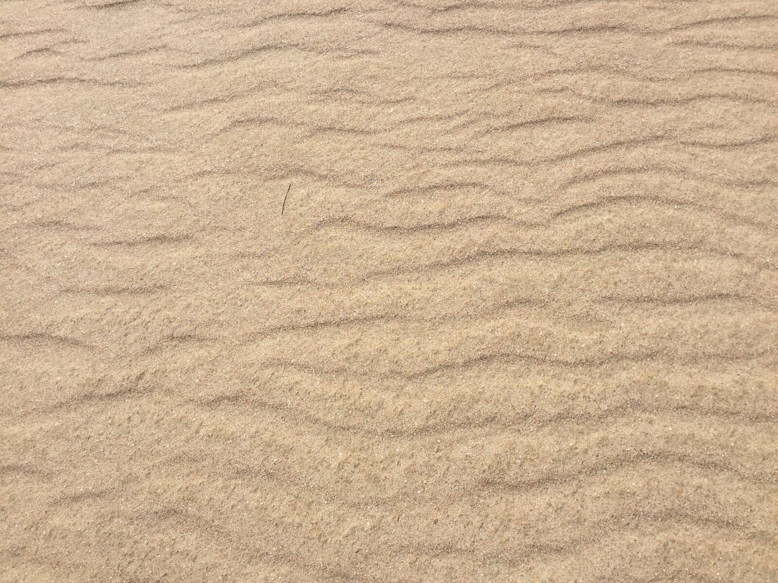 Apple iPhone 6 sample photo. Sand, dunes, sand color photography