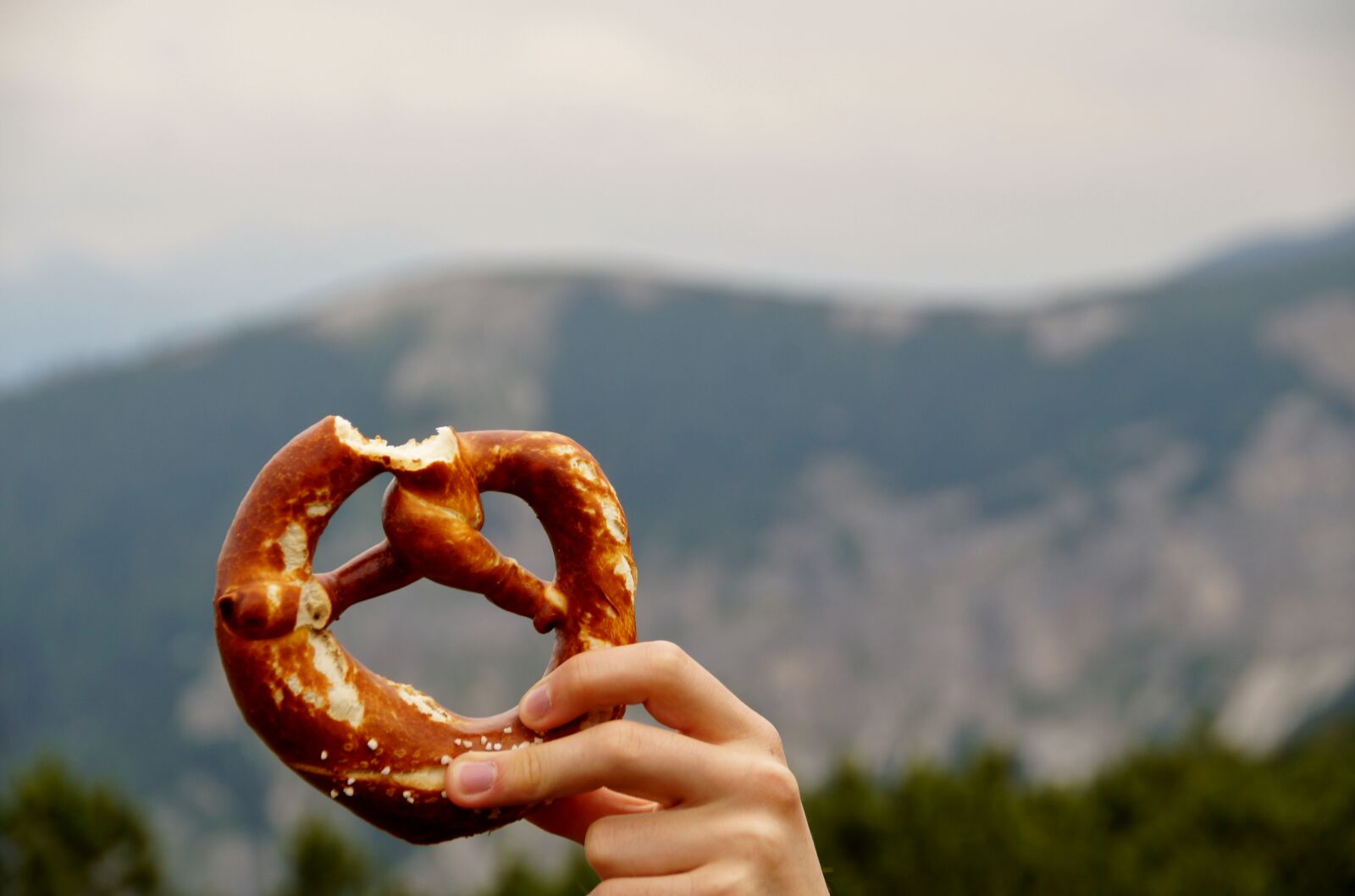 Sony SLT-A58 sample photo. Pretzel, pastry, foodstuffs photography