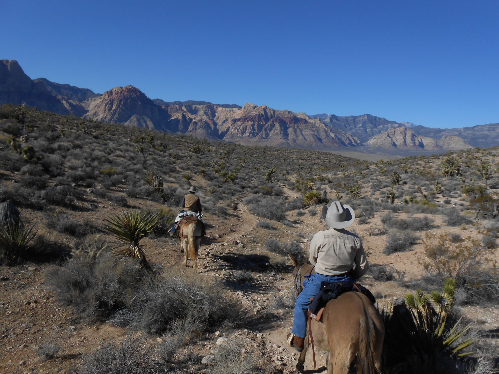 Nikon Coolpix S4300 sample photo. Desert, horse, rider photography