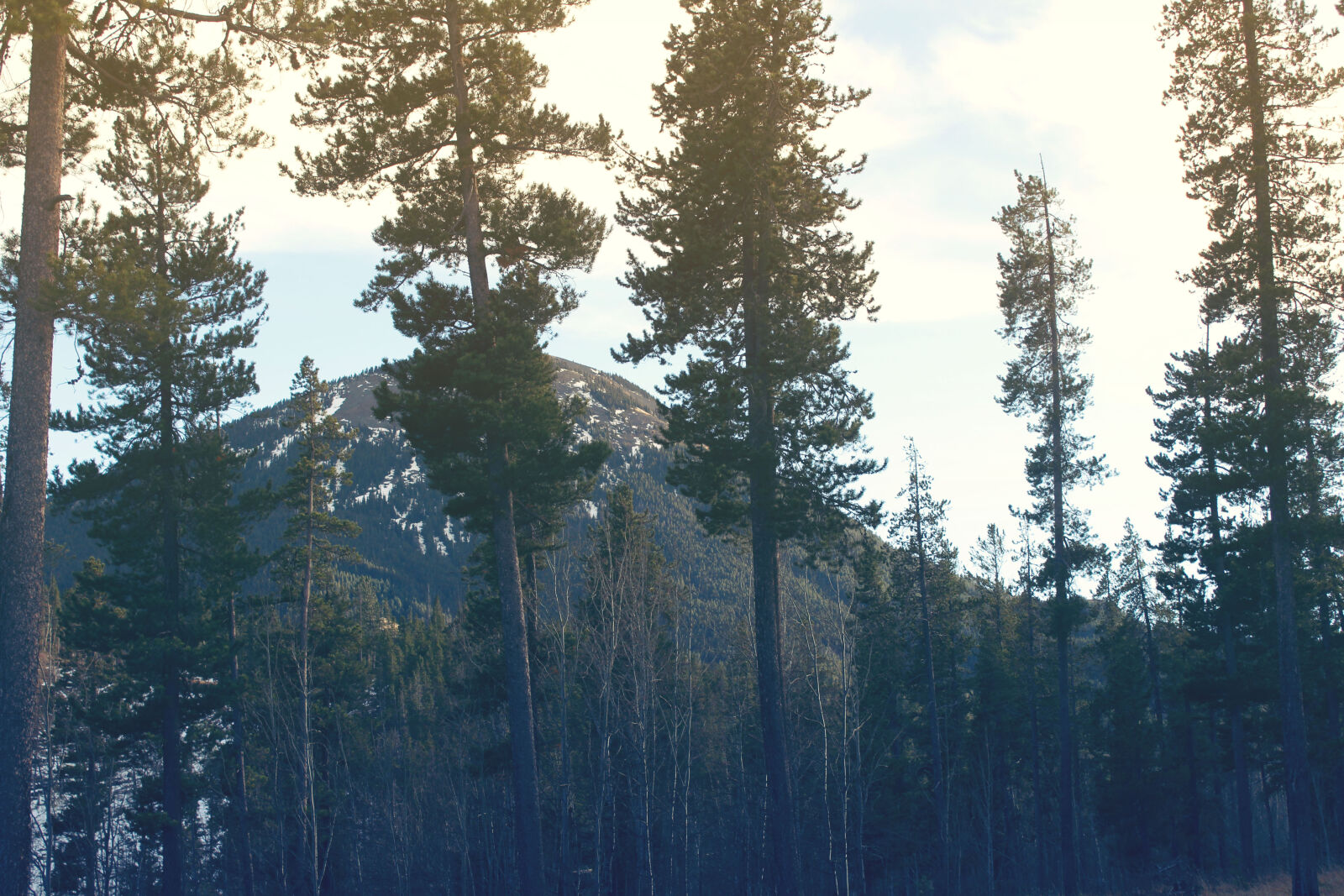 Canon EOS 650D (EOS Rebel T4i / EOS Kiss X6i) + Canon EF-S 18-135mm F3.5-5.6 IS STM sample photo. Mountain, trees photography