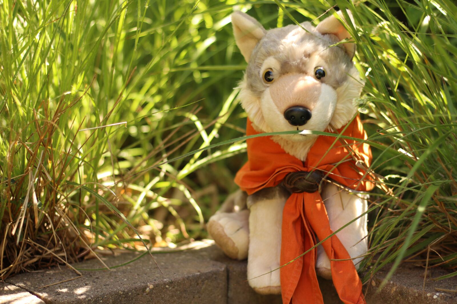 Canon EOS 1300D (EOS Rebel T6 / EOS Kiss X80) + Canon EF 50mm F1.8 STM sample photo. Wolf, soft toy, animal photography