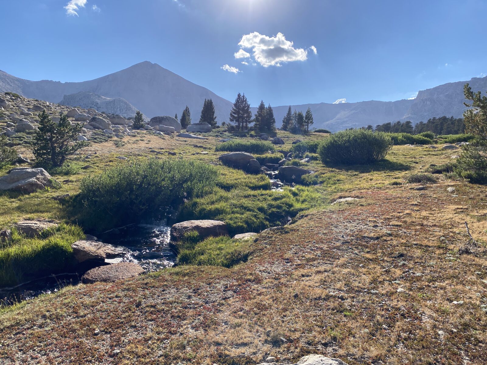 iPhone 11 Pro back triple camera 4.25mm f/1.8 sample photo. Remote wilderness, mountain stream photography