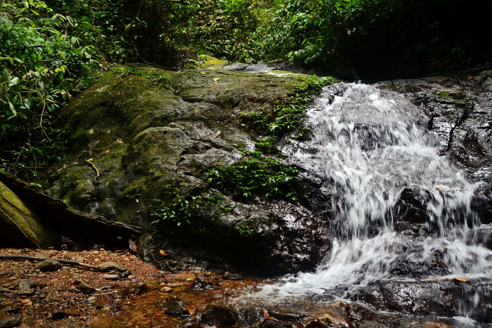 Nikon D3100 sample photo. Travel, indonesia, sumatra photography