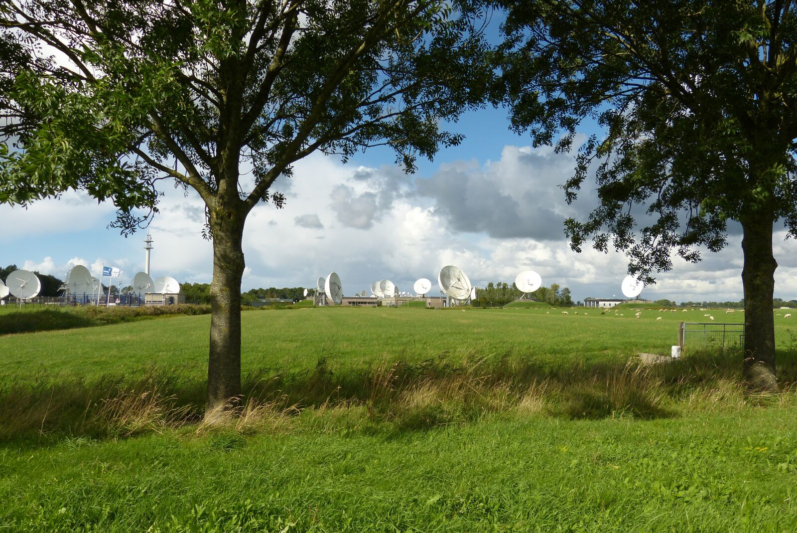 Panasonic Lumix DMC-FZ150 sample photo. Landscape, holland, radio bowl photography