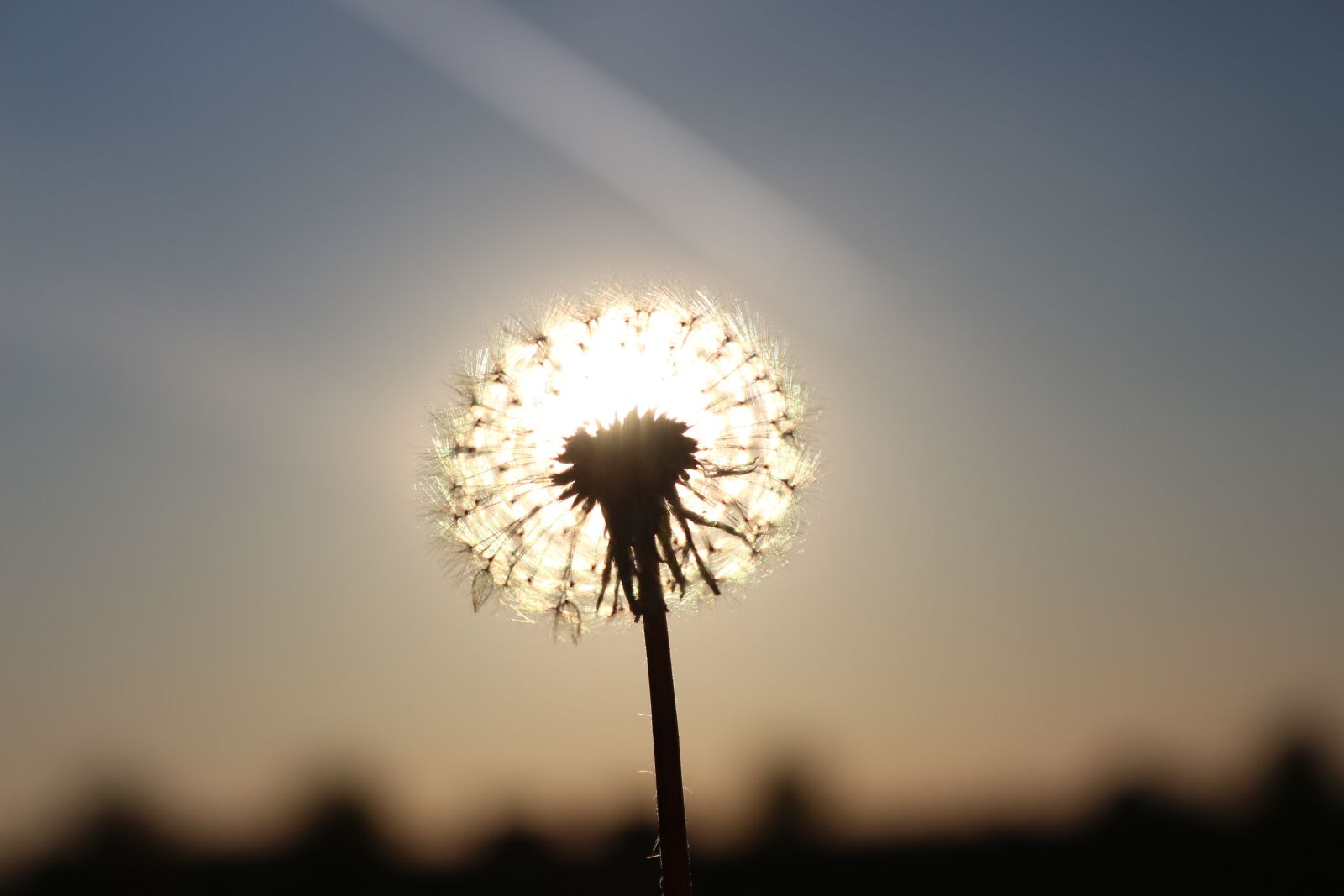 Canon EOS 700D (EOS Rebel T5i / EOS Kiss X7i) sample photo. Creativity, sunset, nature photography