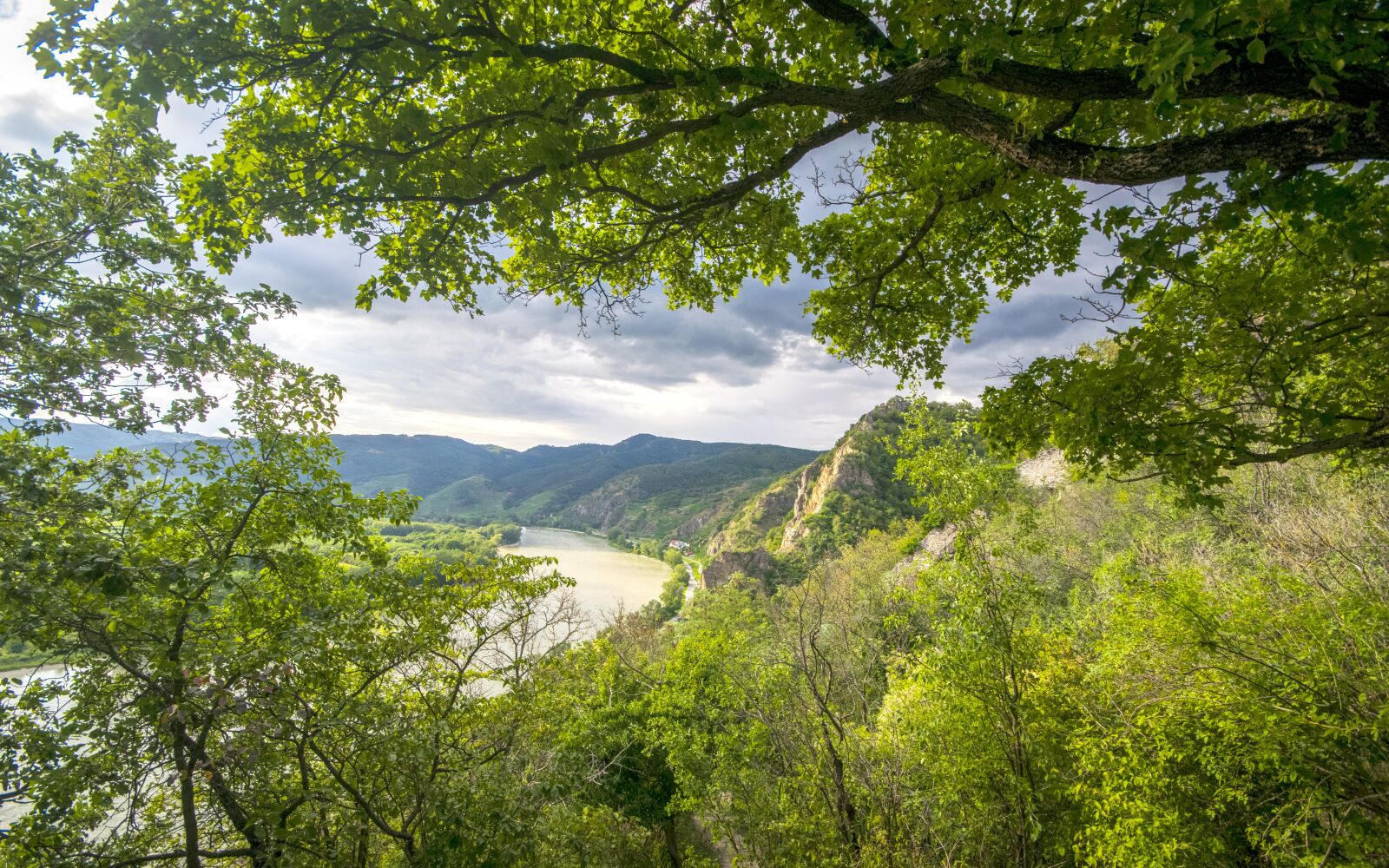 Nikon D3300 sample photo. River, tree, trees photography