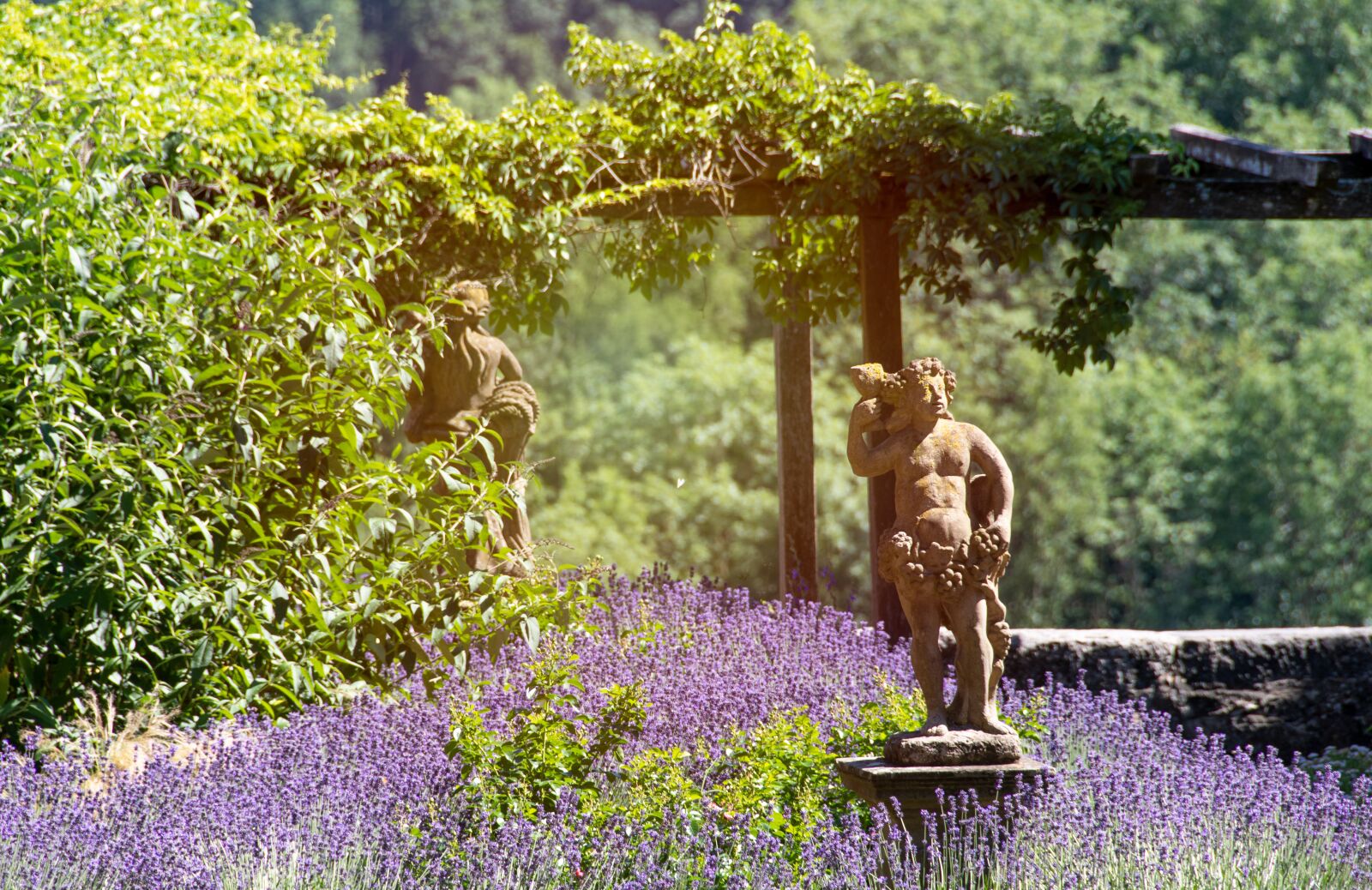 Nikon D500 sample photo. Garden, sculpture, lavender photography