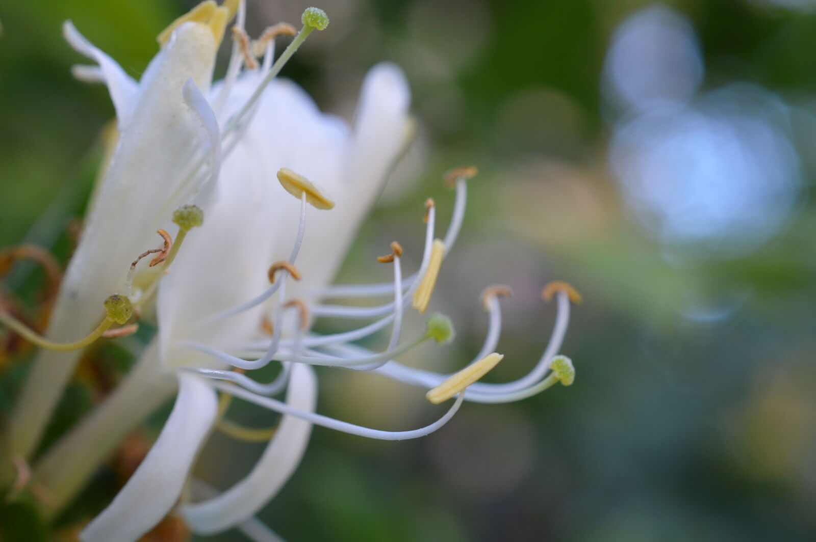 Nikon D3200 sample photo