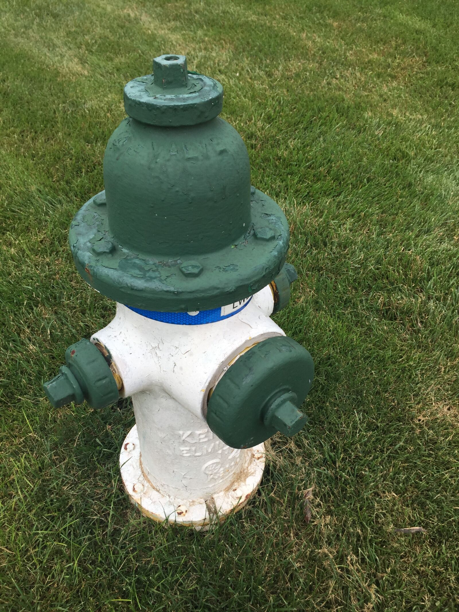 Apple iPhone 6 sample photo. Fire, fireplug water, emergency photography
