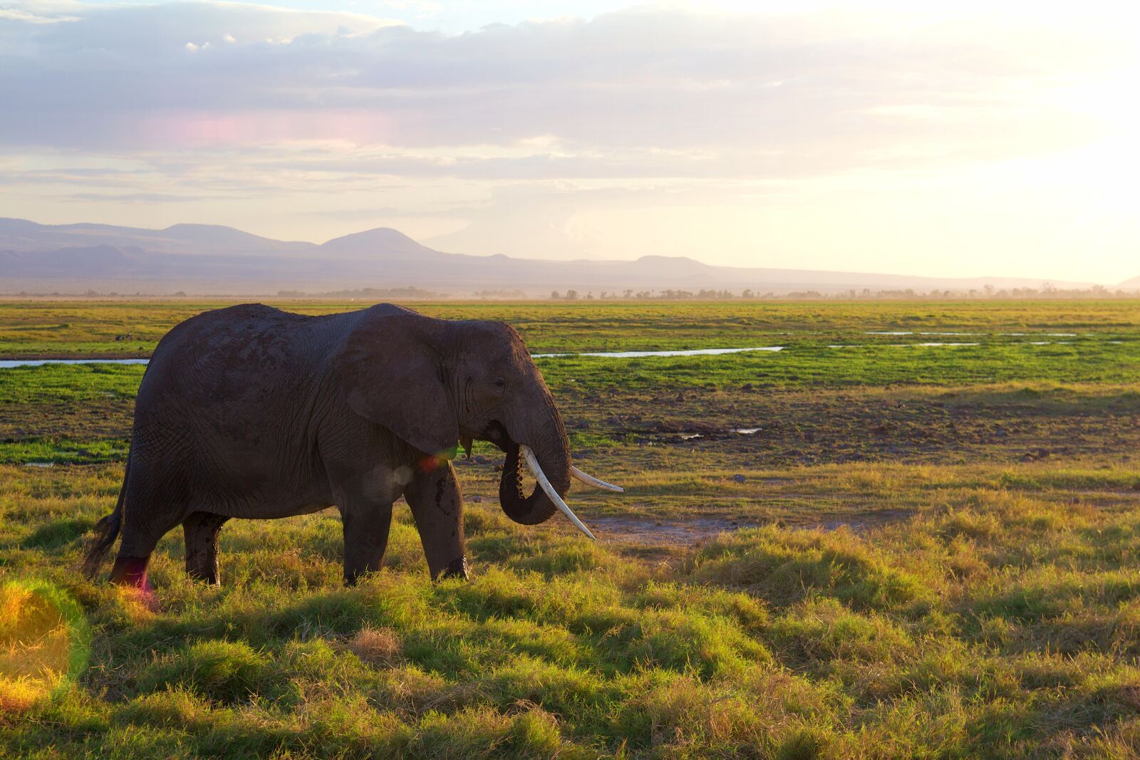 Canon EOS 600D (Rebel EOS T3i / EOS Kiss X5) sample photo. Africa, park, national park photography