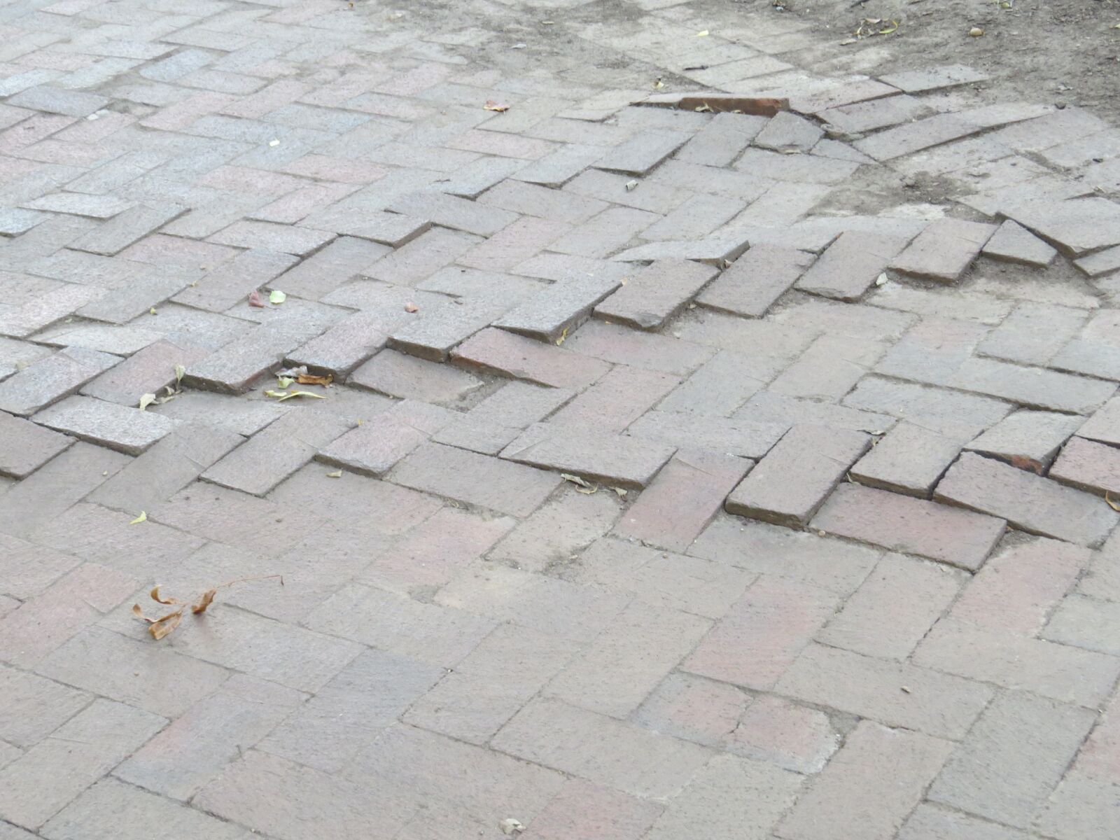Canon PowerShot SX50 HS sample photo. Bricks, pavement, pattern photography