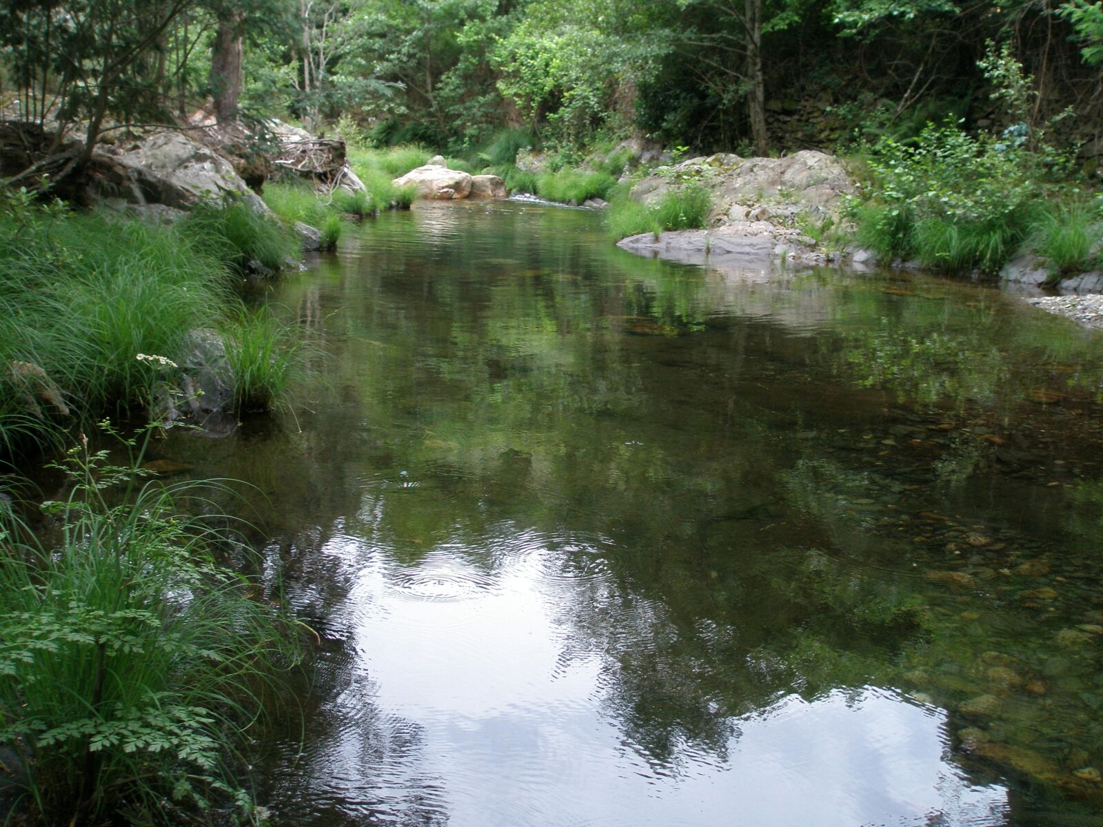 Olympus u810/S810 sample photo. On the inside of photography