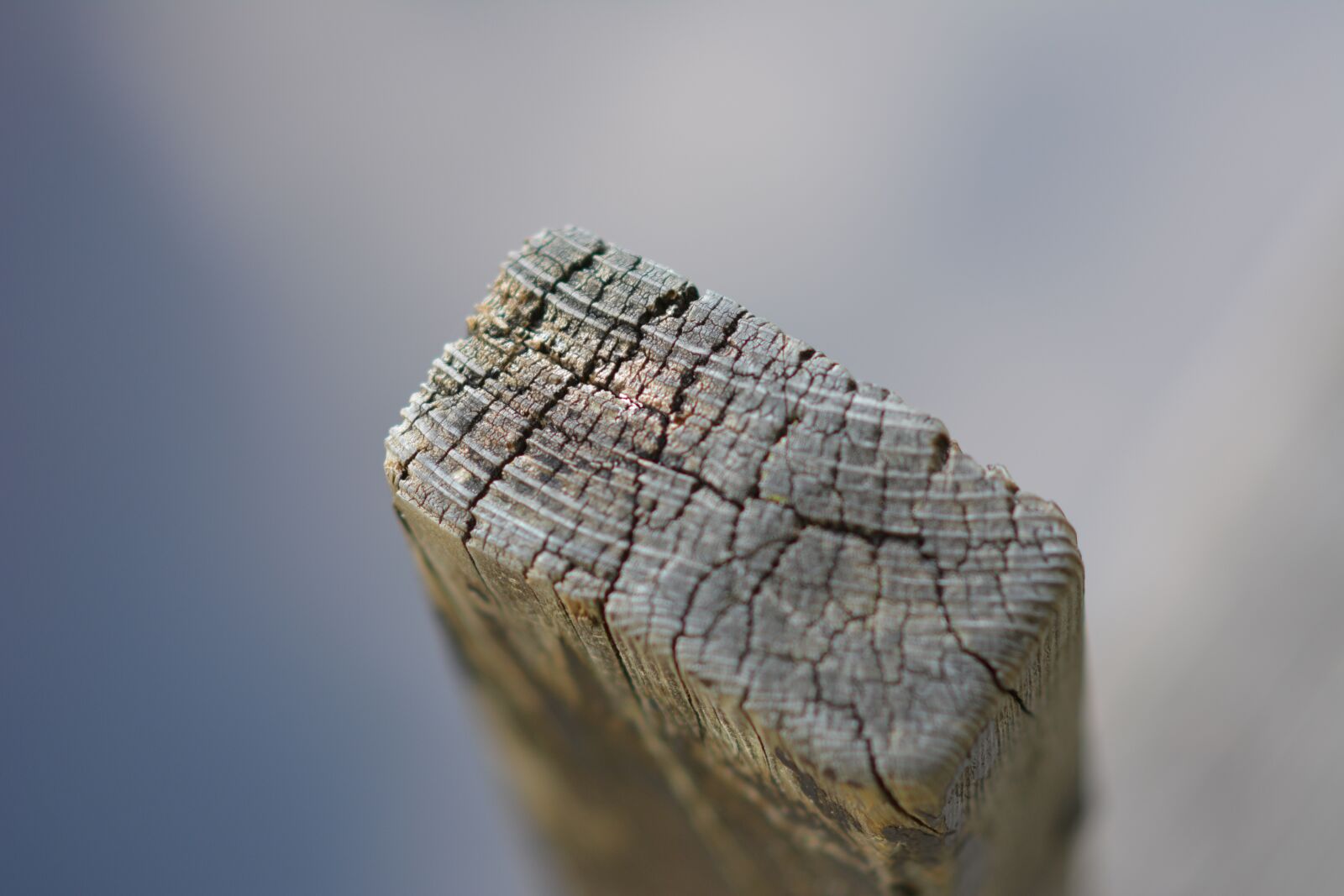 Nikon D5200 sample photo. Wood pile, close up photography