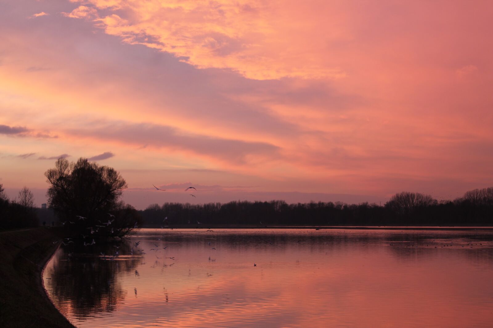 Canon EOS 1100D (EOS Rebel T3 / EOS Kiss X50) sample photo. Sunset, lake, mirroring photography