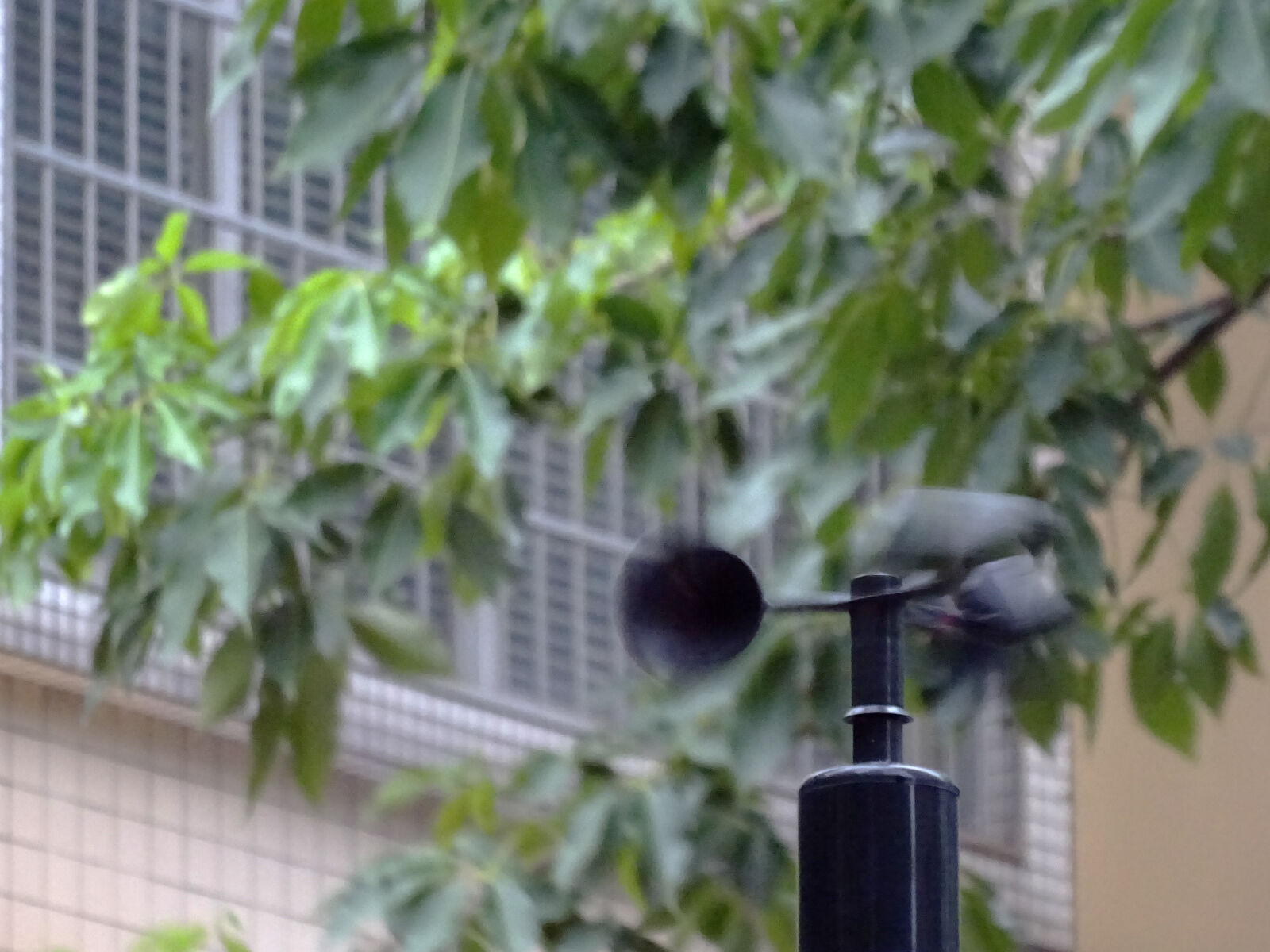 Sony Cyber-shot DSC-WX350 sample photo. Typhoon, wind photography