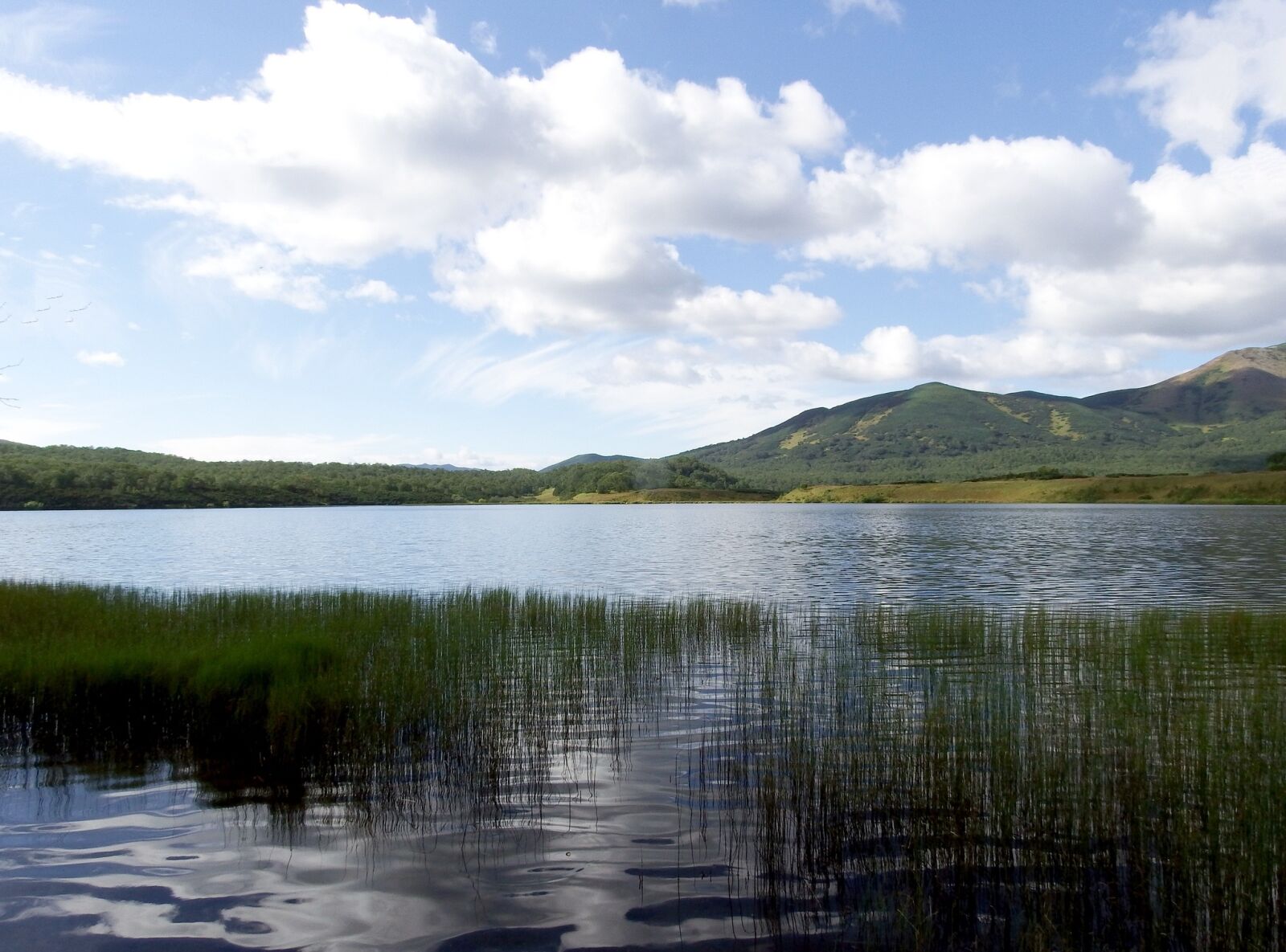 Fujifilm FinePix S1 sample photo. Lake, mountains, forest photography